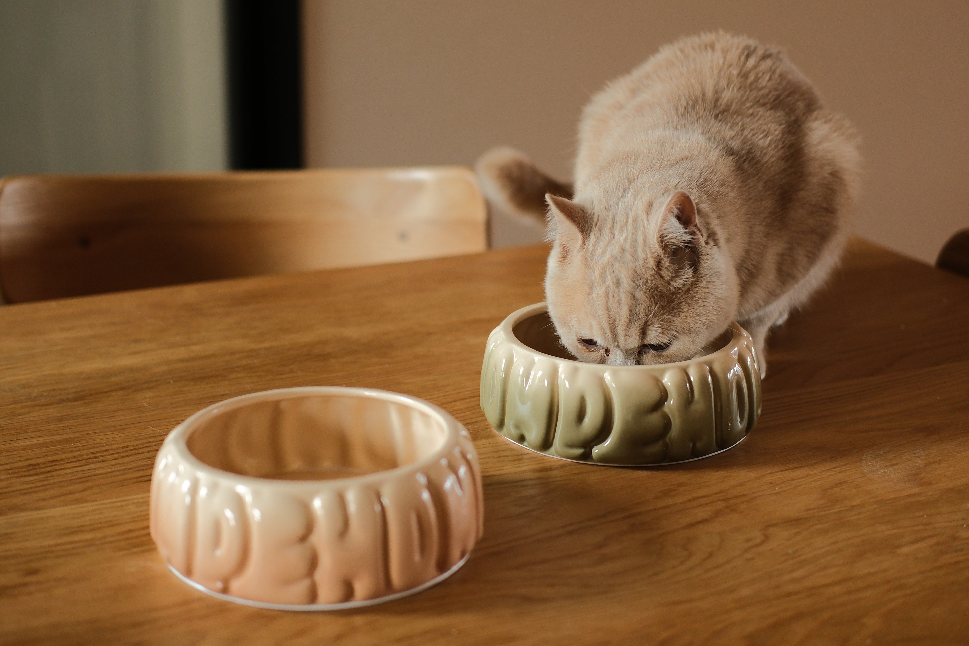 Puff Pet Bowl - Gradient Caramel-thumbmail-10