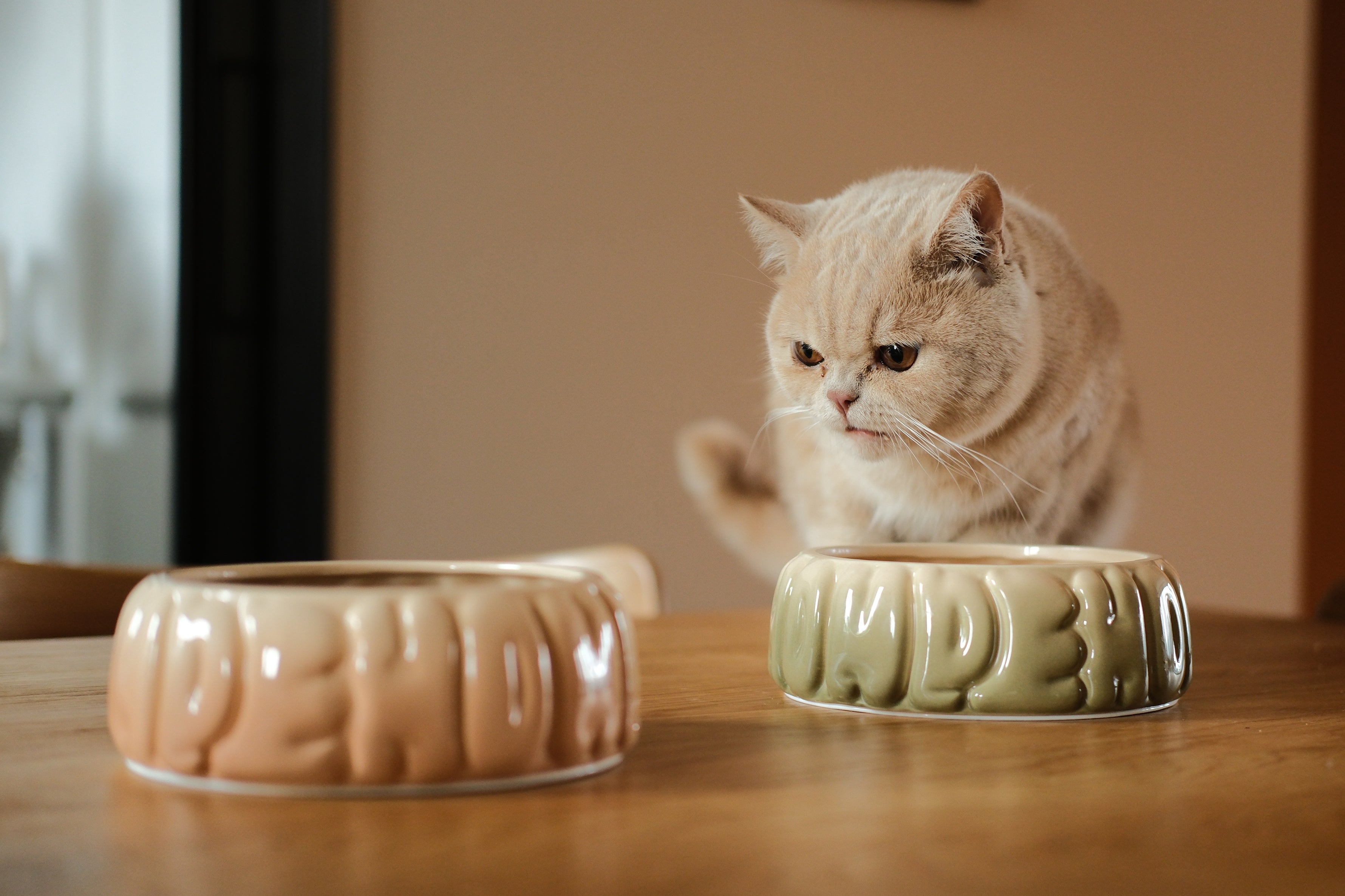 Puff Pet Bowl - Gradient Caramel-thumbmail-9
