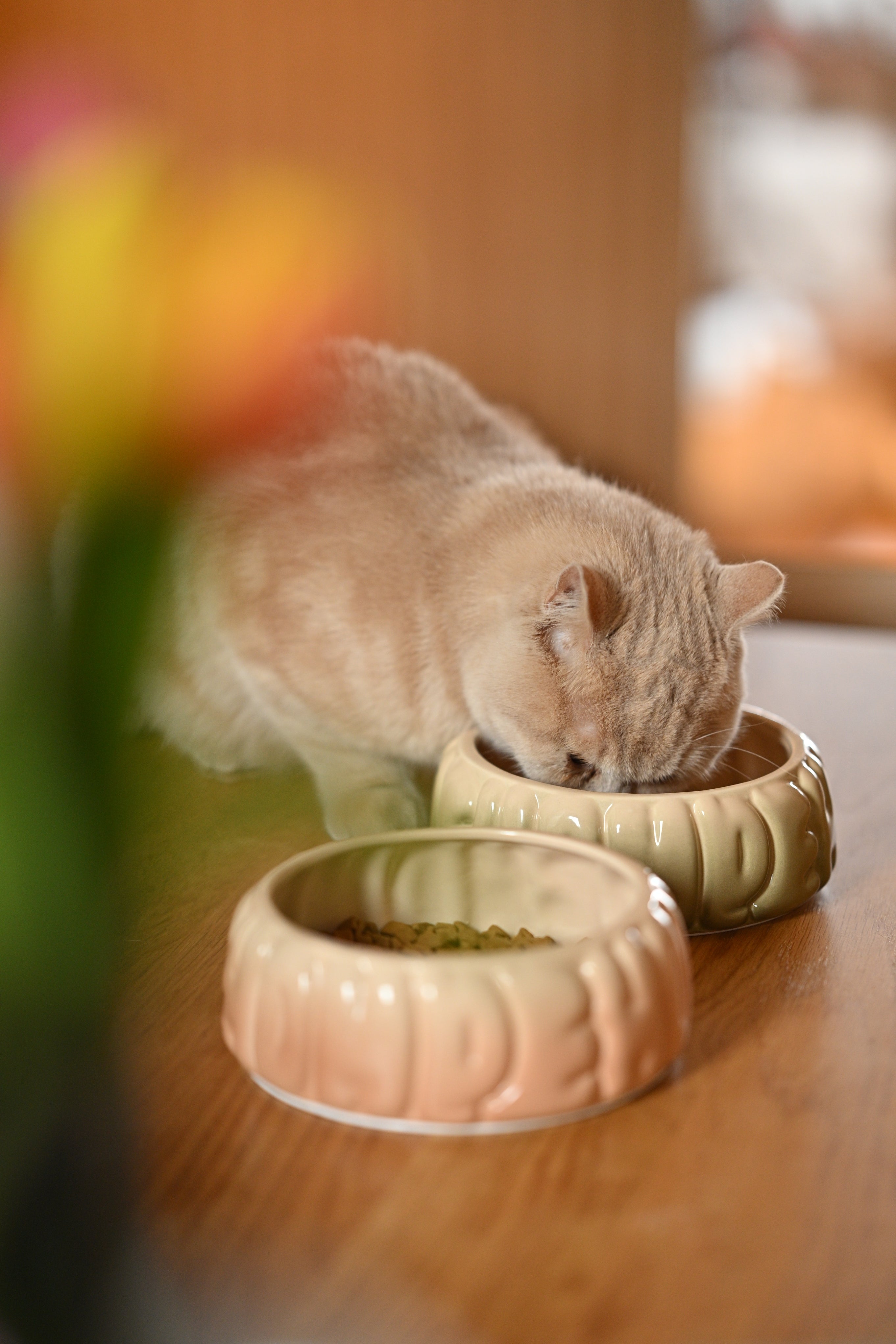 Puff Pet Bowl - Gradient Caramel-thumbmail-4