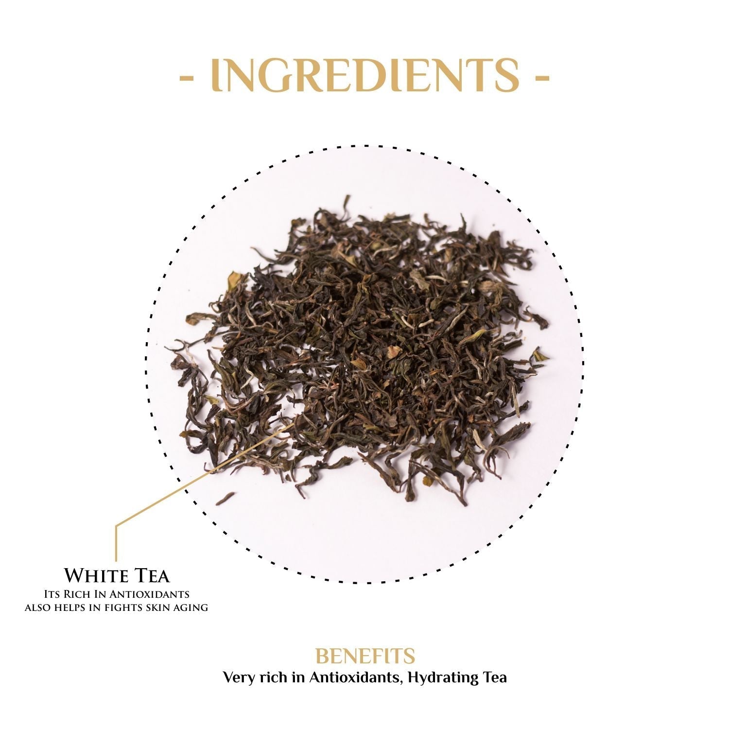 Darjeeling Moonshine White Tea-thumbmail-4