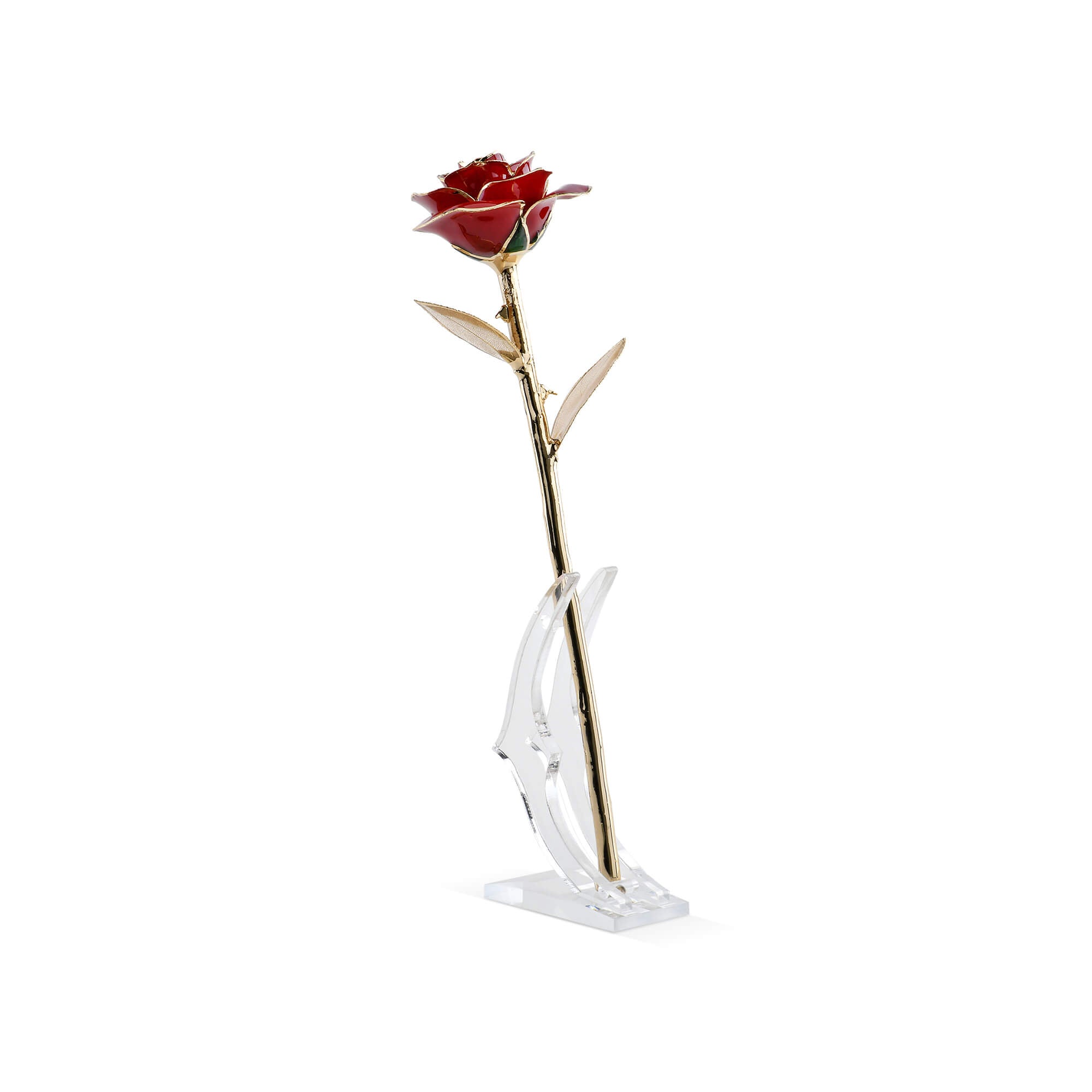 Timeless Rose (Dark Red)-thumbmail-1