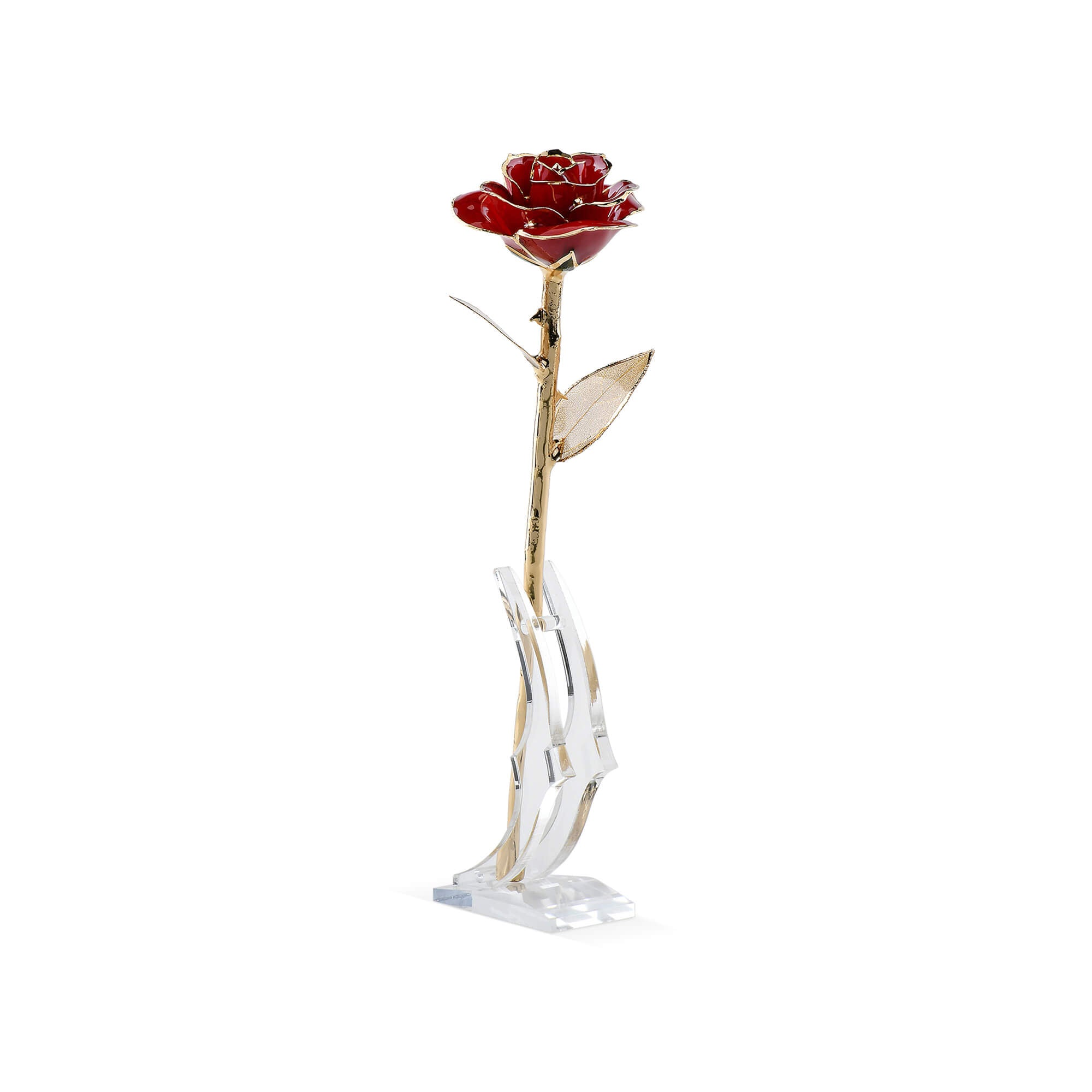 Timeless Rose (Dark Red)-thumbmail-2