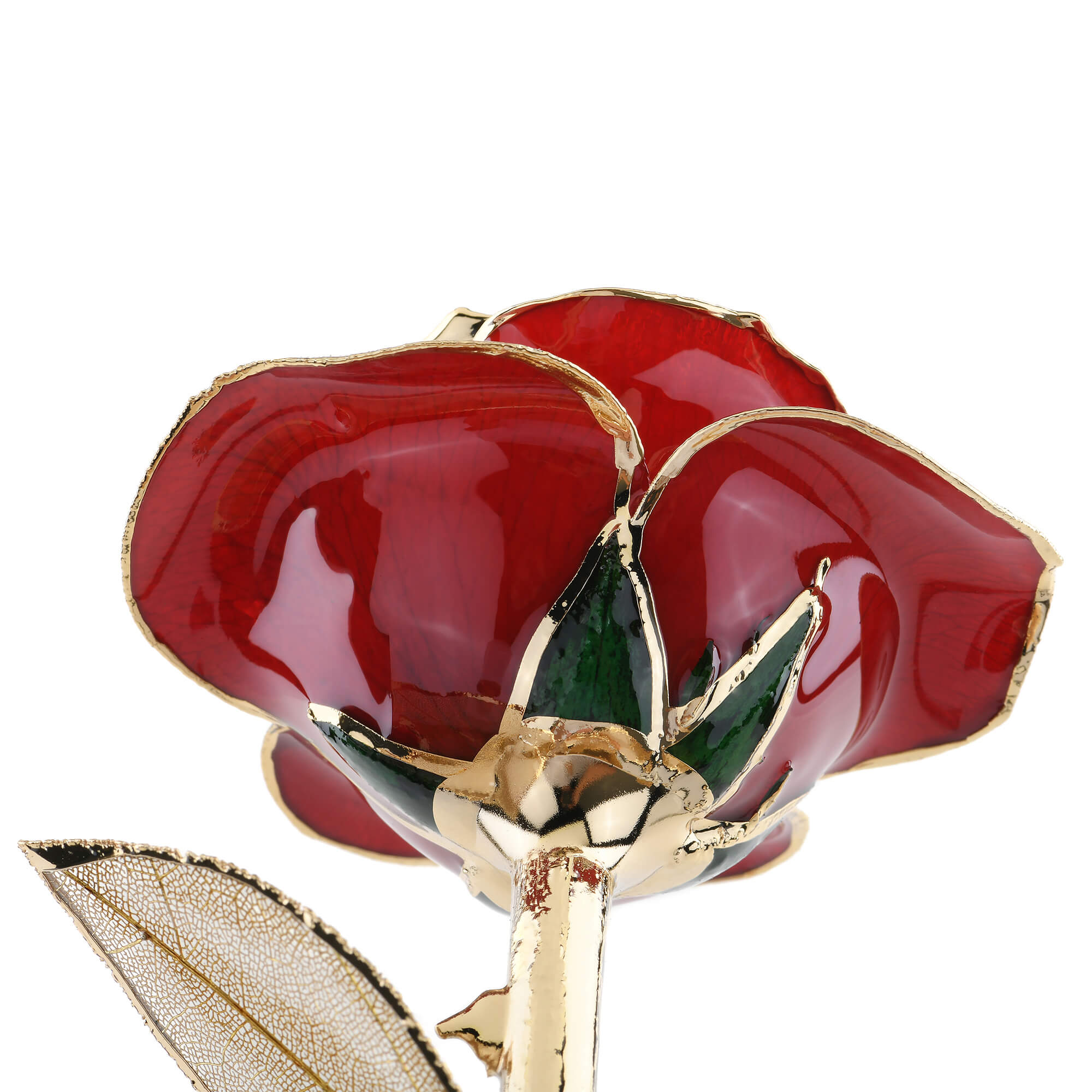 Timeless Rose (Dark Red)-thumbmail-5