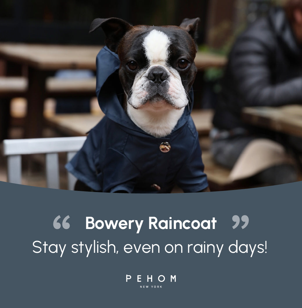 BOWERY RAINCOAT - BLUE-thumbmail-3