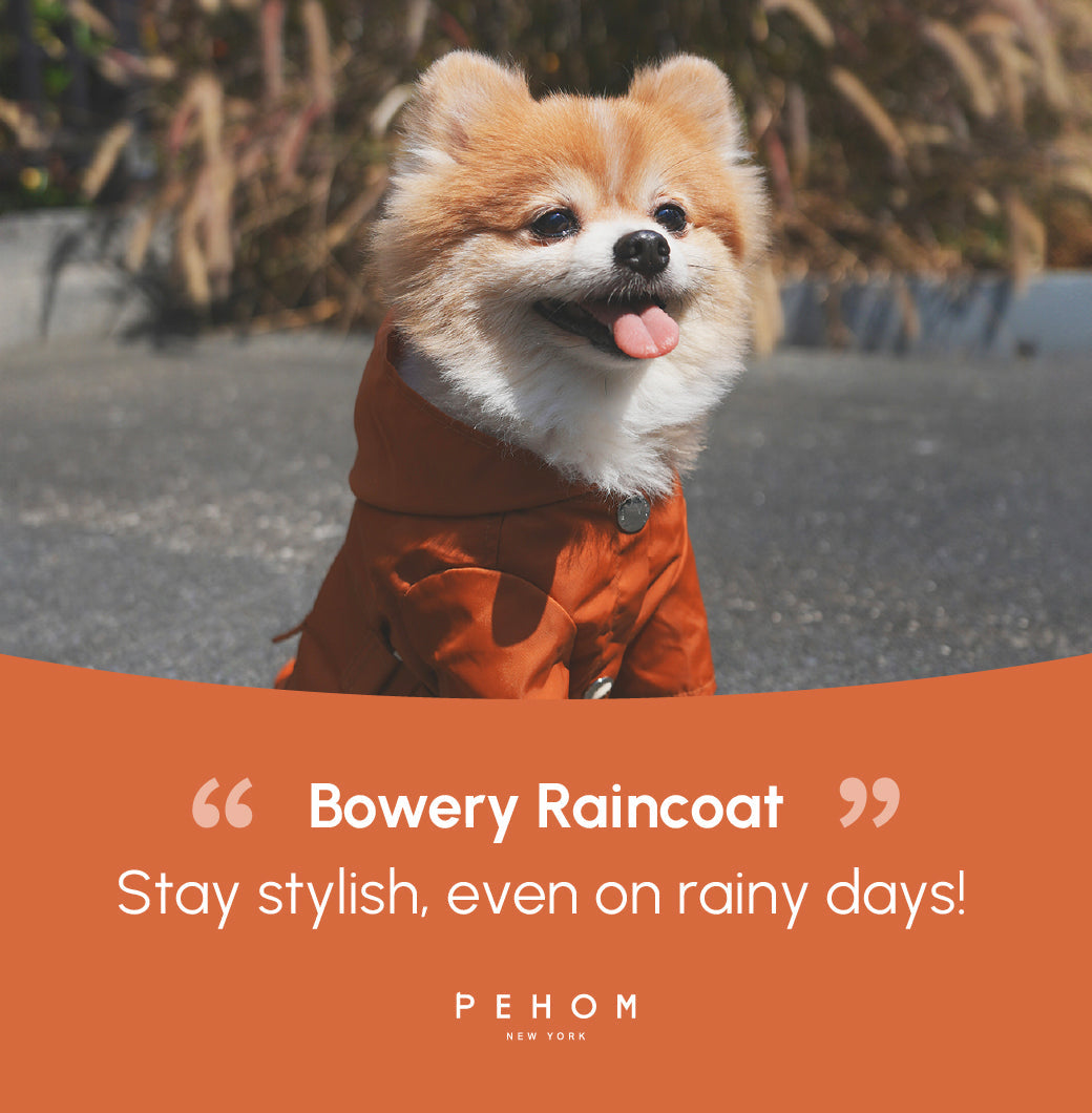 BOWERY RAINCOAT - ORANGE-thumbmail-10
