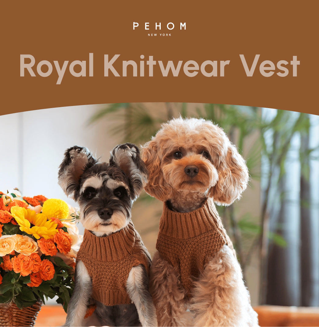 Pet Sweater Vest - Toffee Orange-thumbmail-8