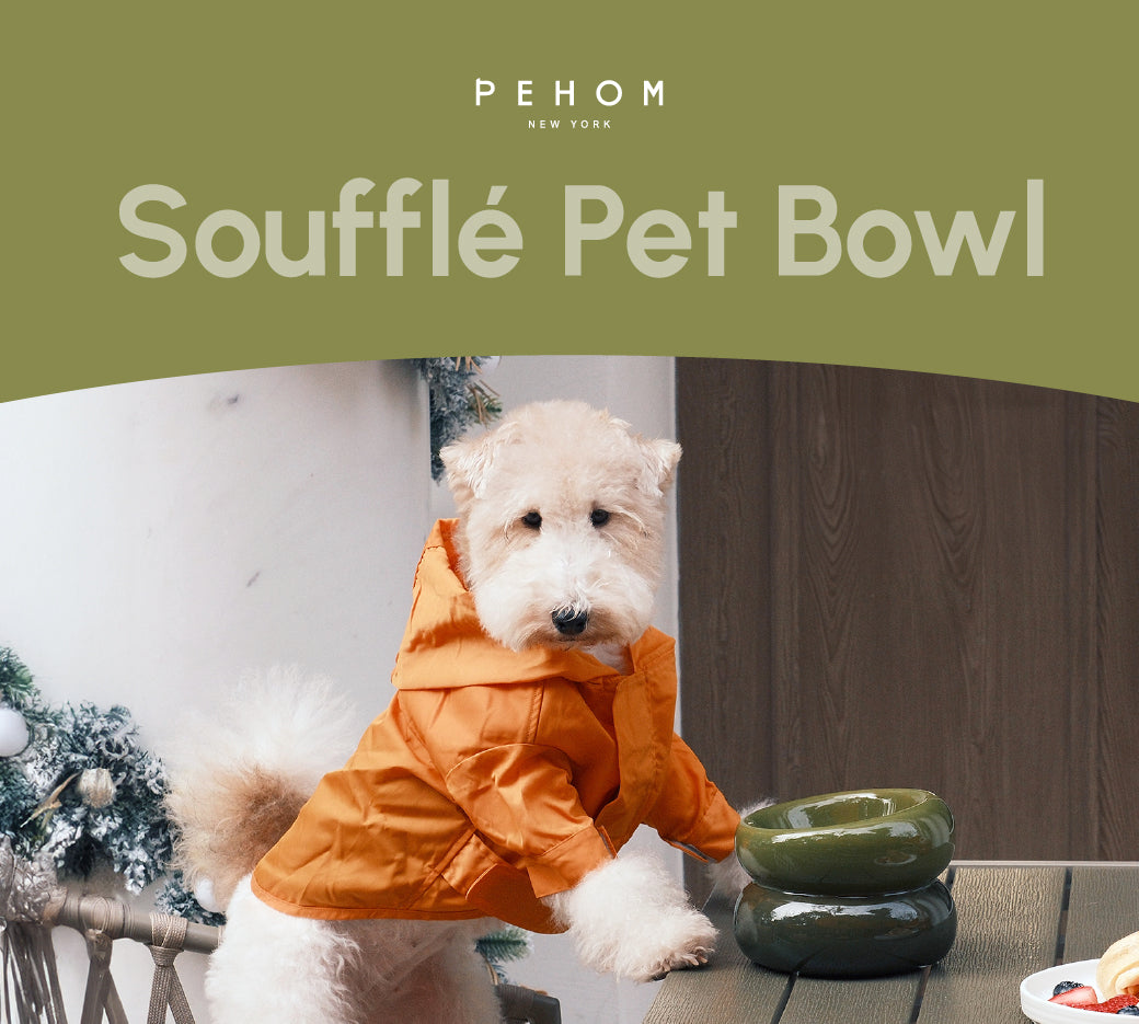 Soufflé Pet Bowl - Avocado Green-thumbmail-9