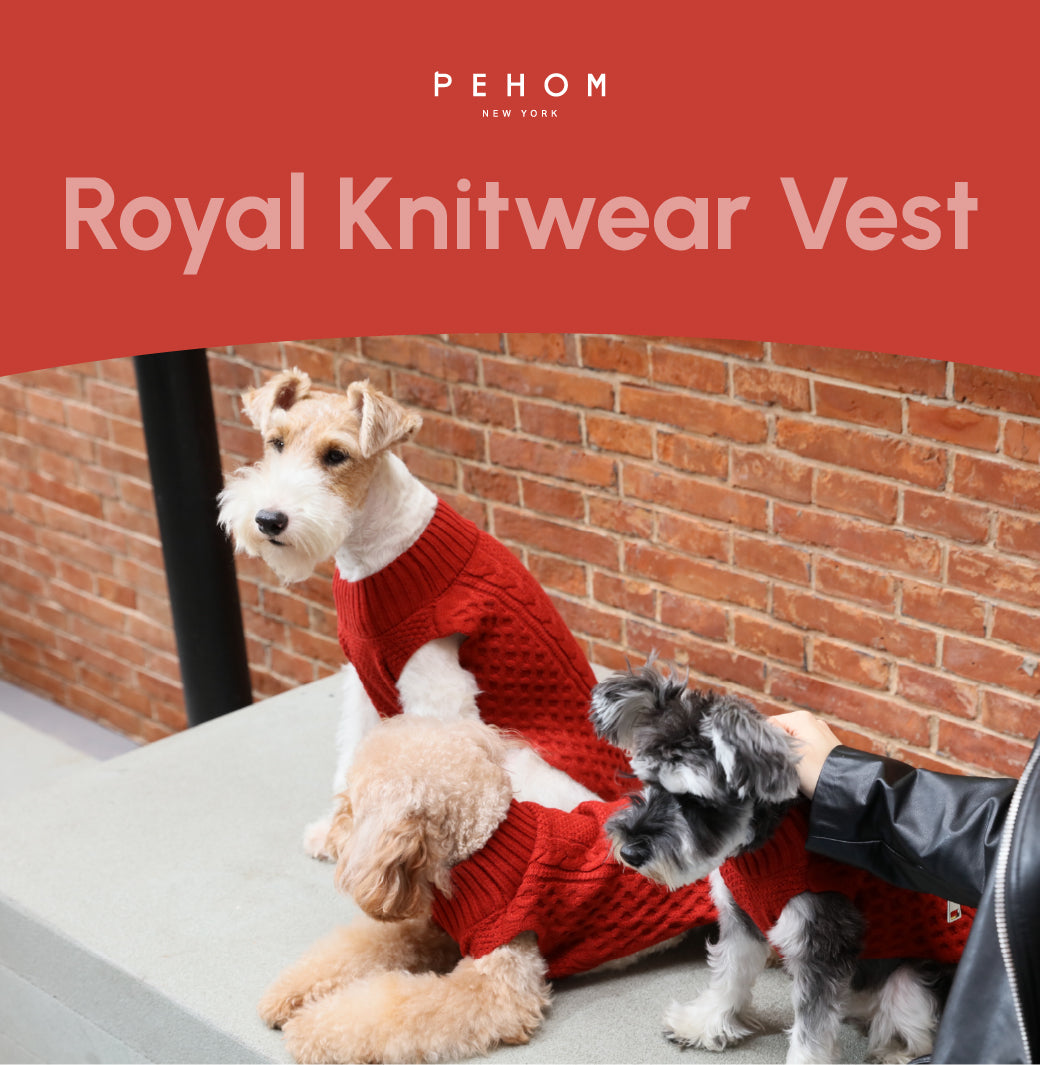 Pet Sweater Vest - Red-thumbmail-1