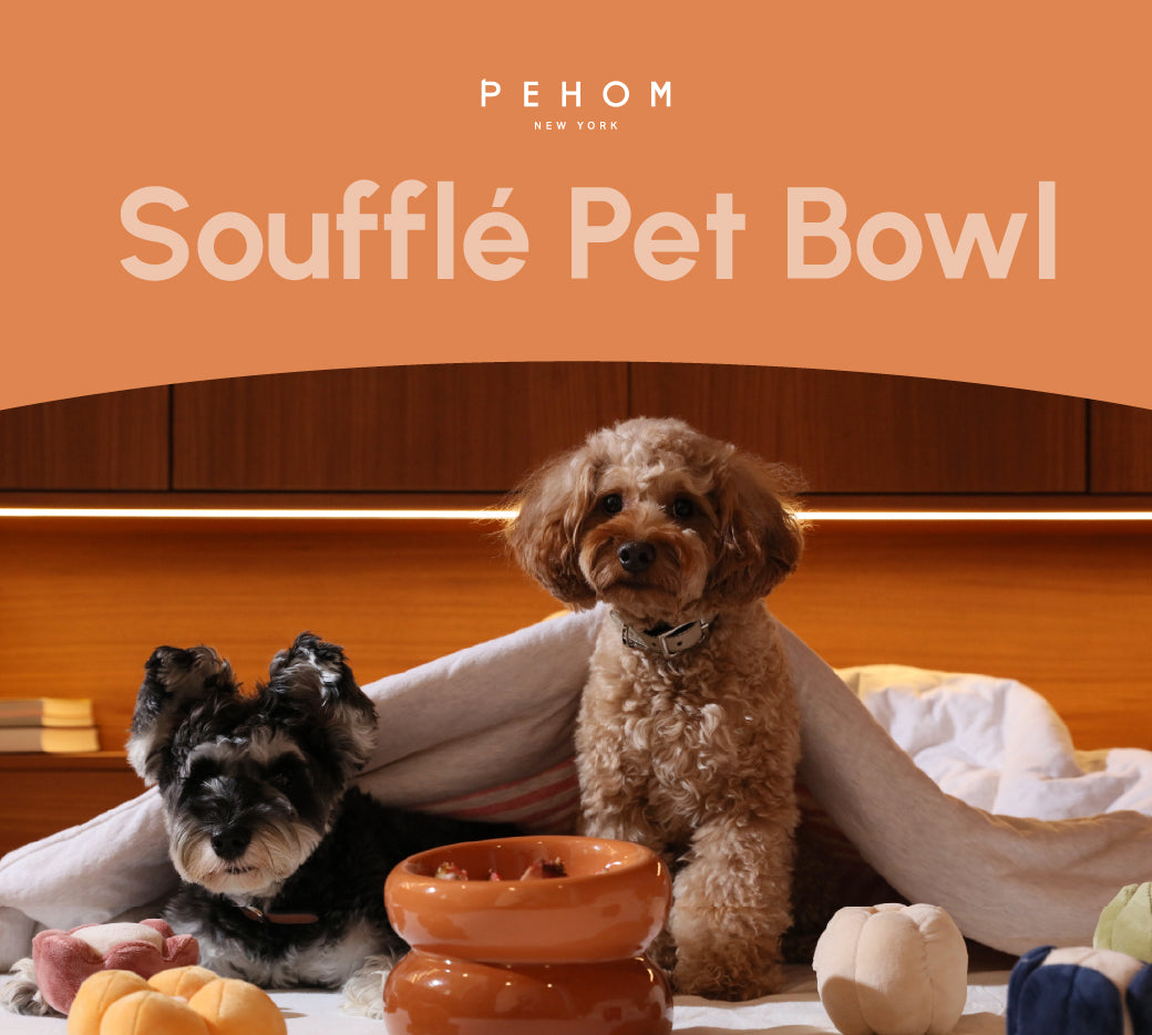 Soufflé Pet Bowl - Amber Orange-thumbmail-8