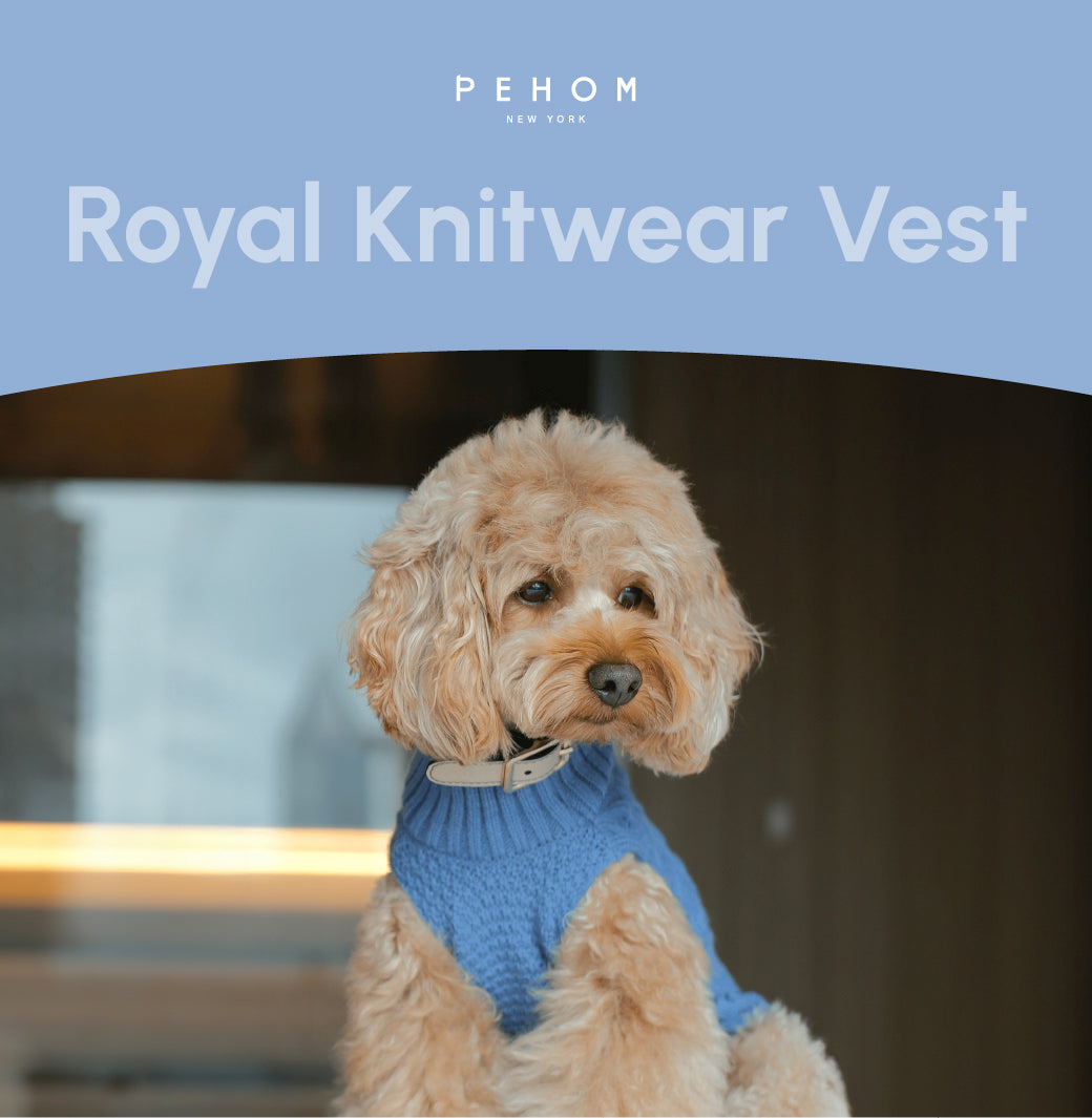 Pet Sweater Vest - Ice Blue-thumbmail-4