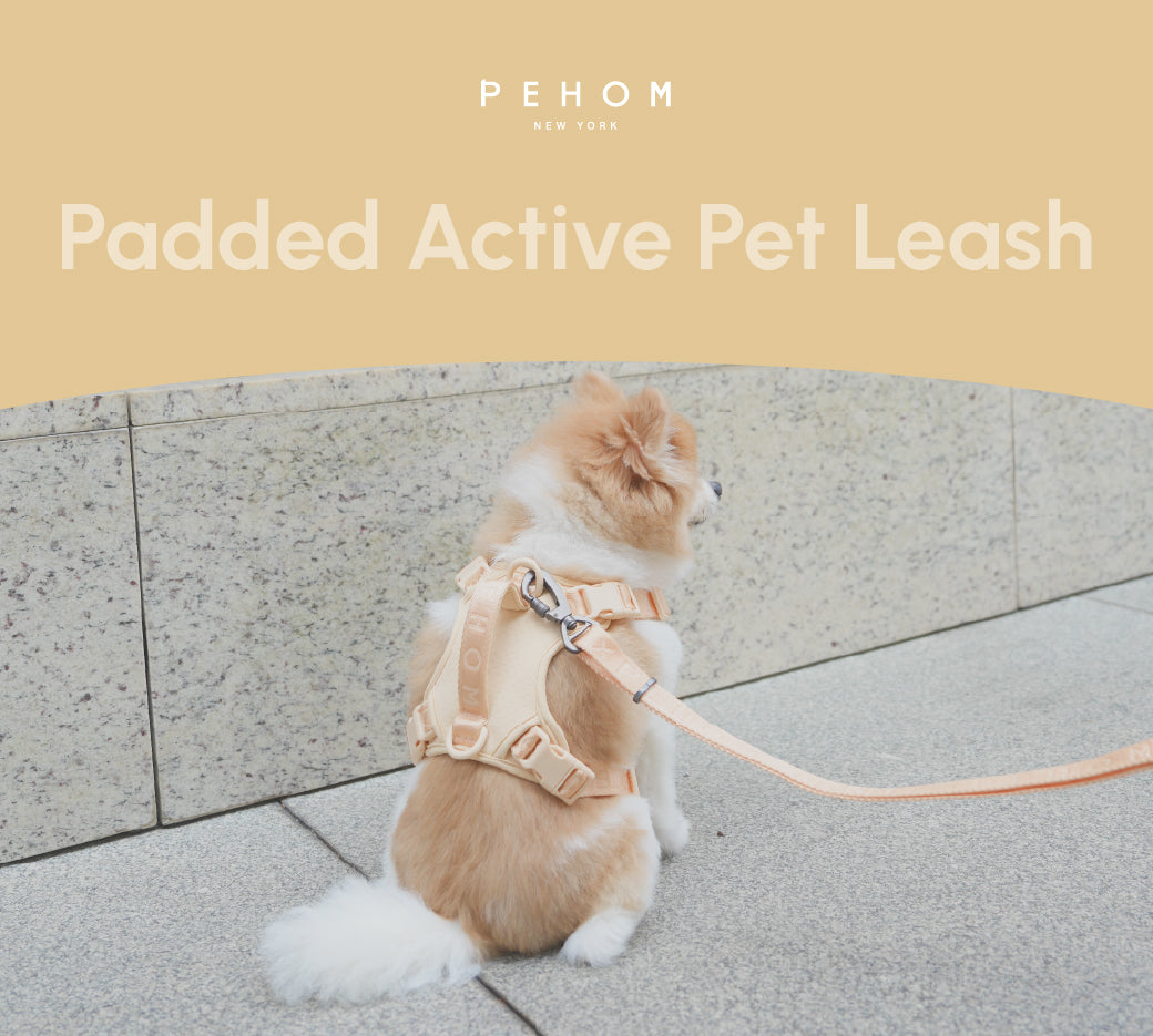 PADDED  ACTIVE  PET LEASH  - APRICOT-thumbmail-8