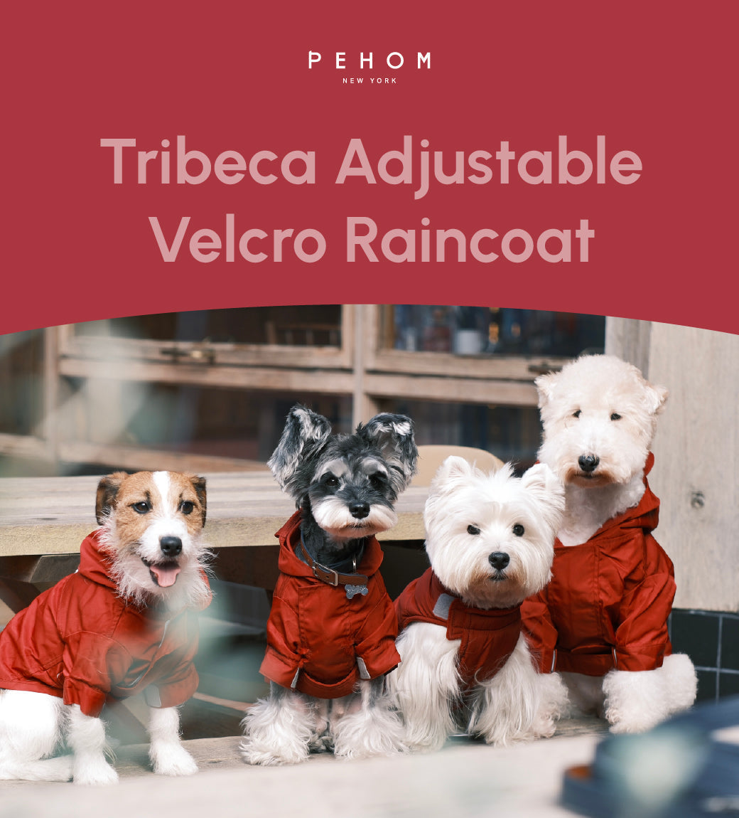 Tribeca Adjustable Velcro Raincoat -  Burgundy-thumbmail-5