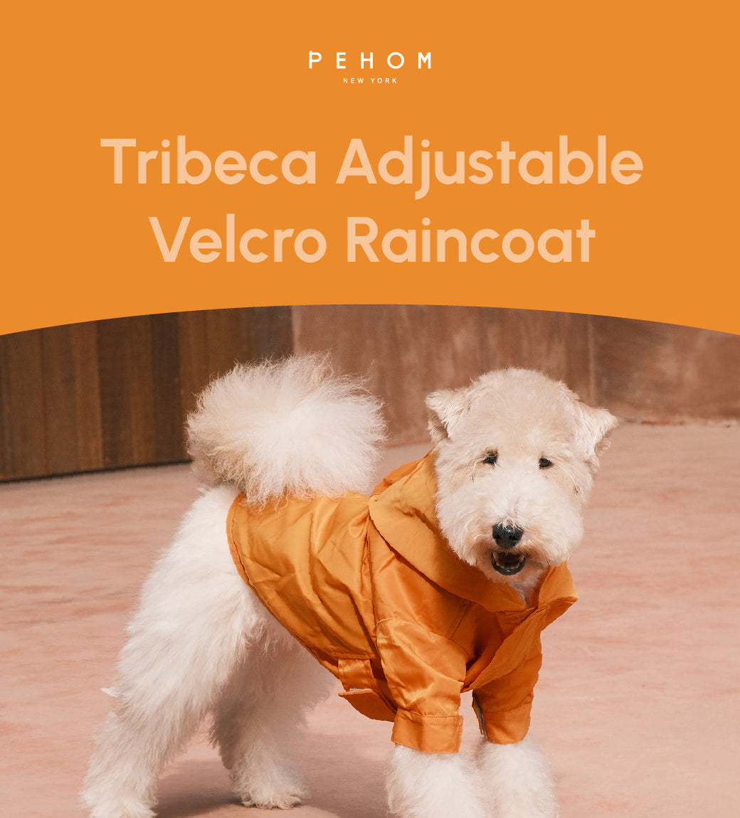 Tribeca Adjustable Velcro Raincoat - Egg Yolk-thumbmail-2