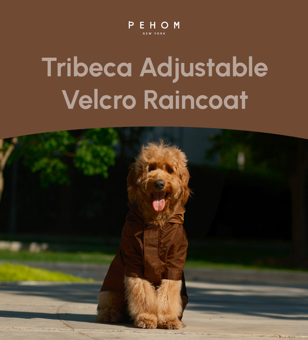 Tribeca Adjustable Velcro Raincoat -  Choco-thumbmail-4