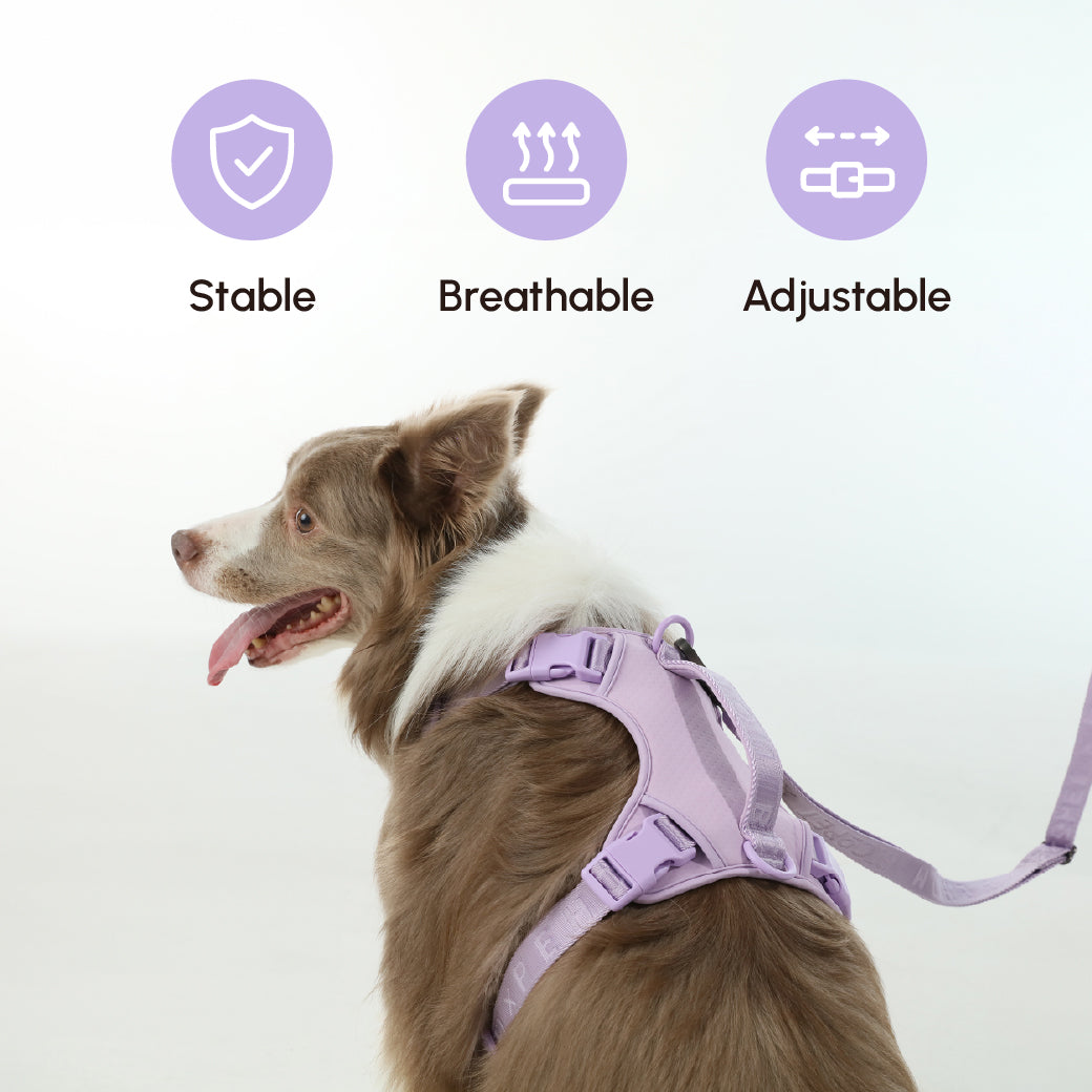 PADDED  ACTIVE  PET LEASH  - MINT PURPLE-thumbmail-10