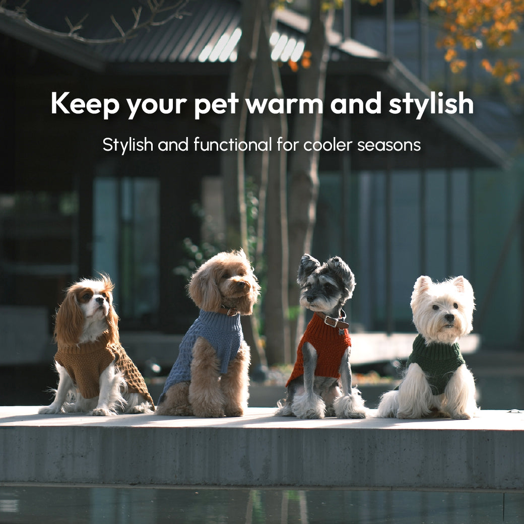 Pet Sweater Vest - Toffee Orange-thumbmail-9