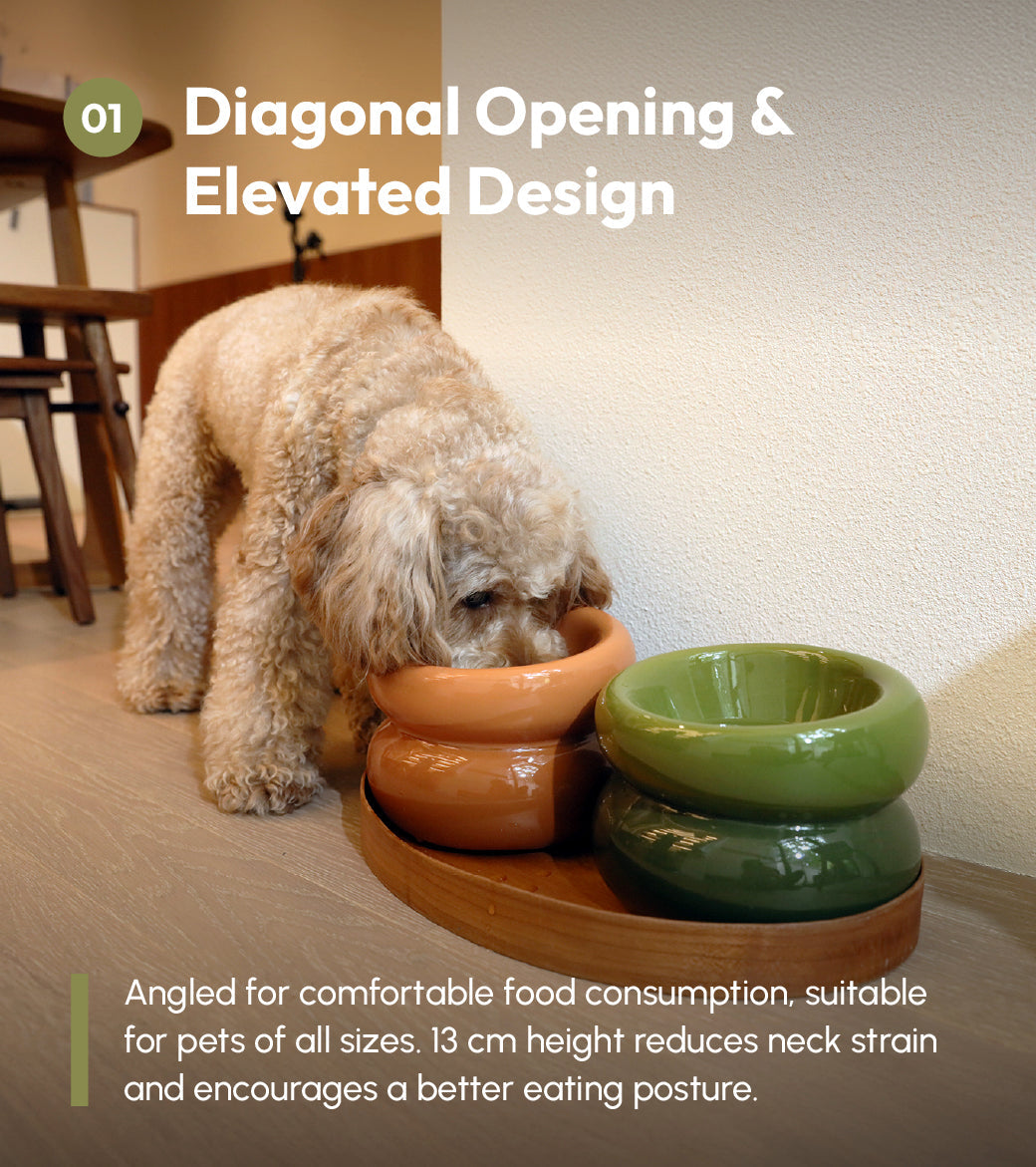 Soufflé Pet Bowl - Avocado Green-thumbmail-6