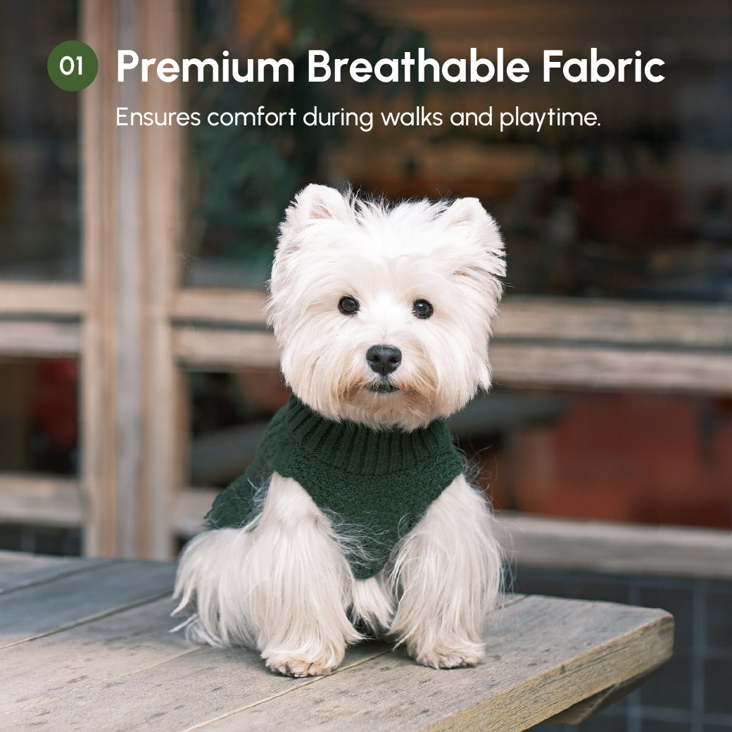 Pet Sweater Vest - Green-thumbmail-10