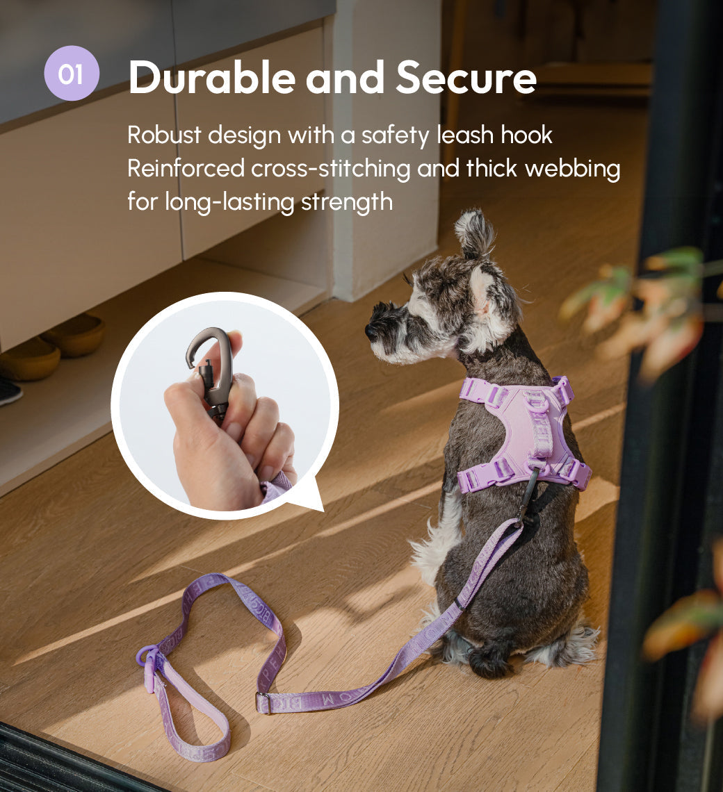 PADDED  ACTIVE  PET LEASH  - MINT PURPLE-thumbmail-3