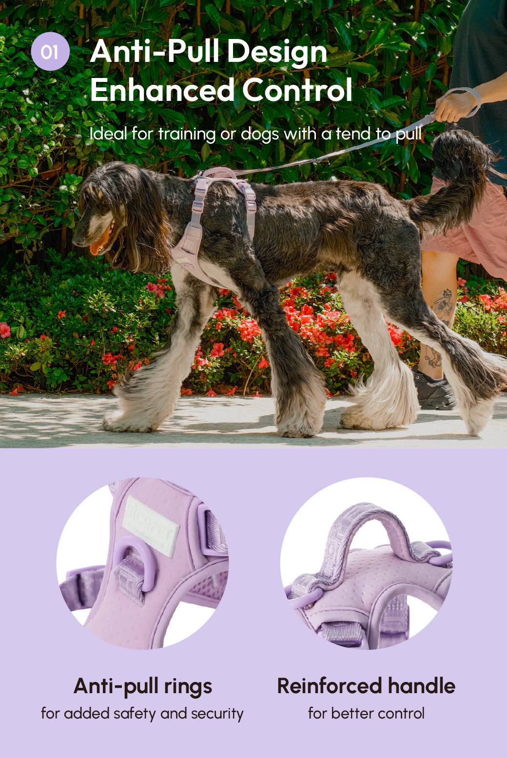 NO PULL ACTIVE  PET HARNESS - MINT PURPLE-thumbmail-10