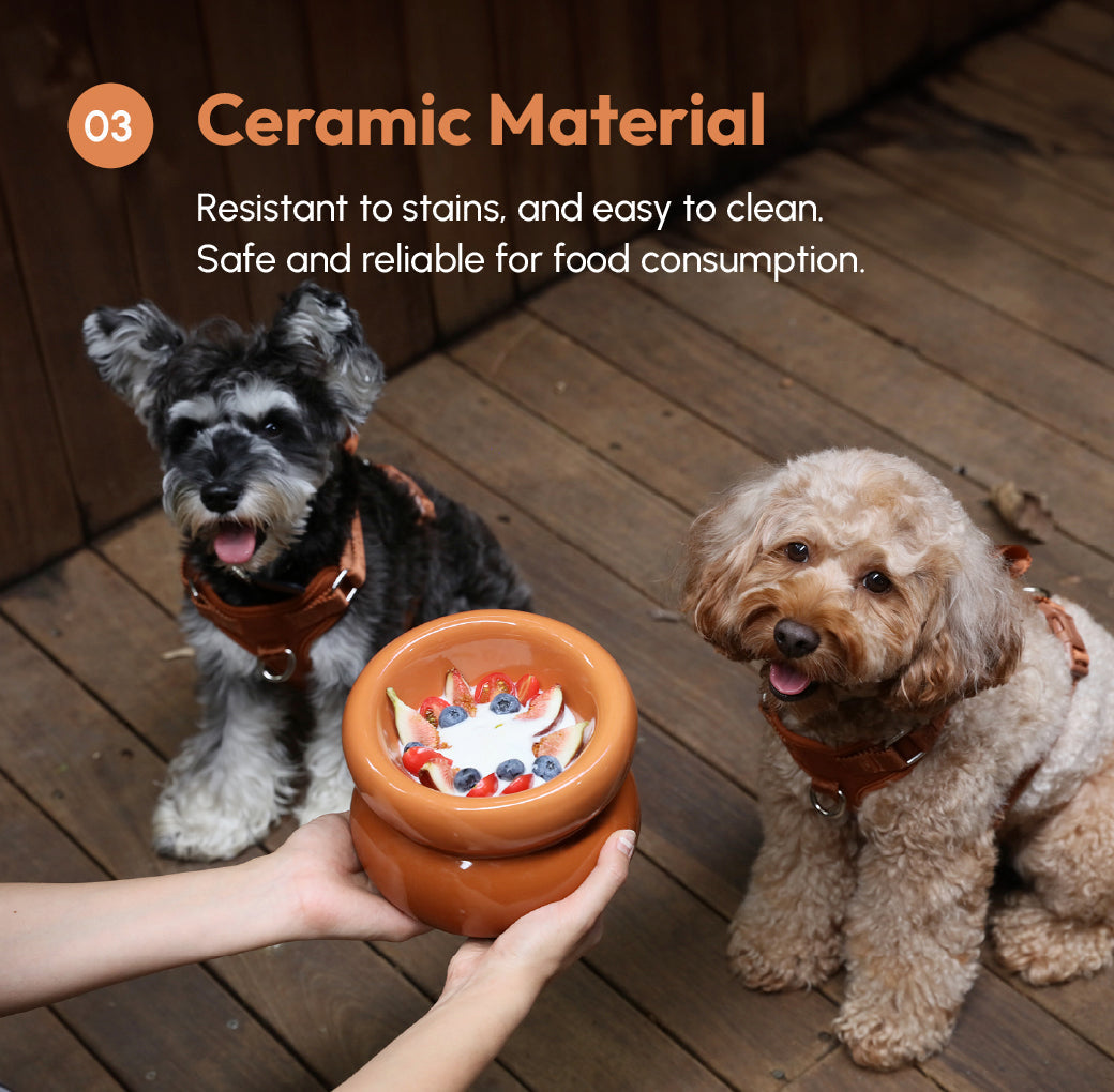 Soufflé Pet Bowl - Amber Orange-thumbmail-2