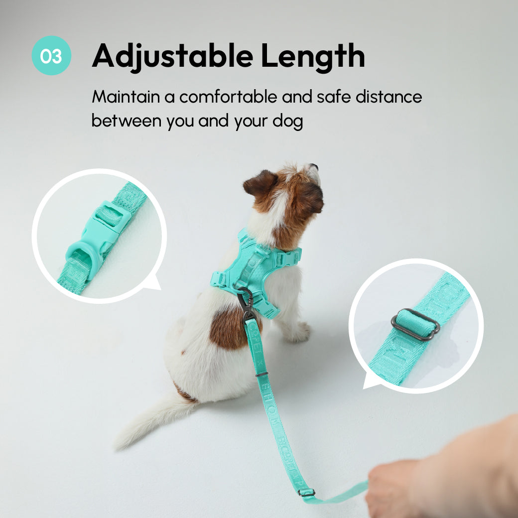 PADDED  ACTIVE  PET LEASH  - MINT GREEN-thumbmail-10