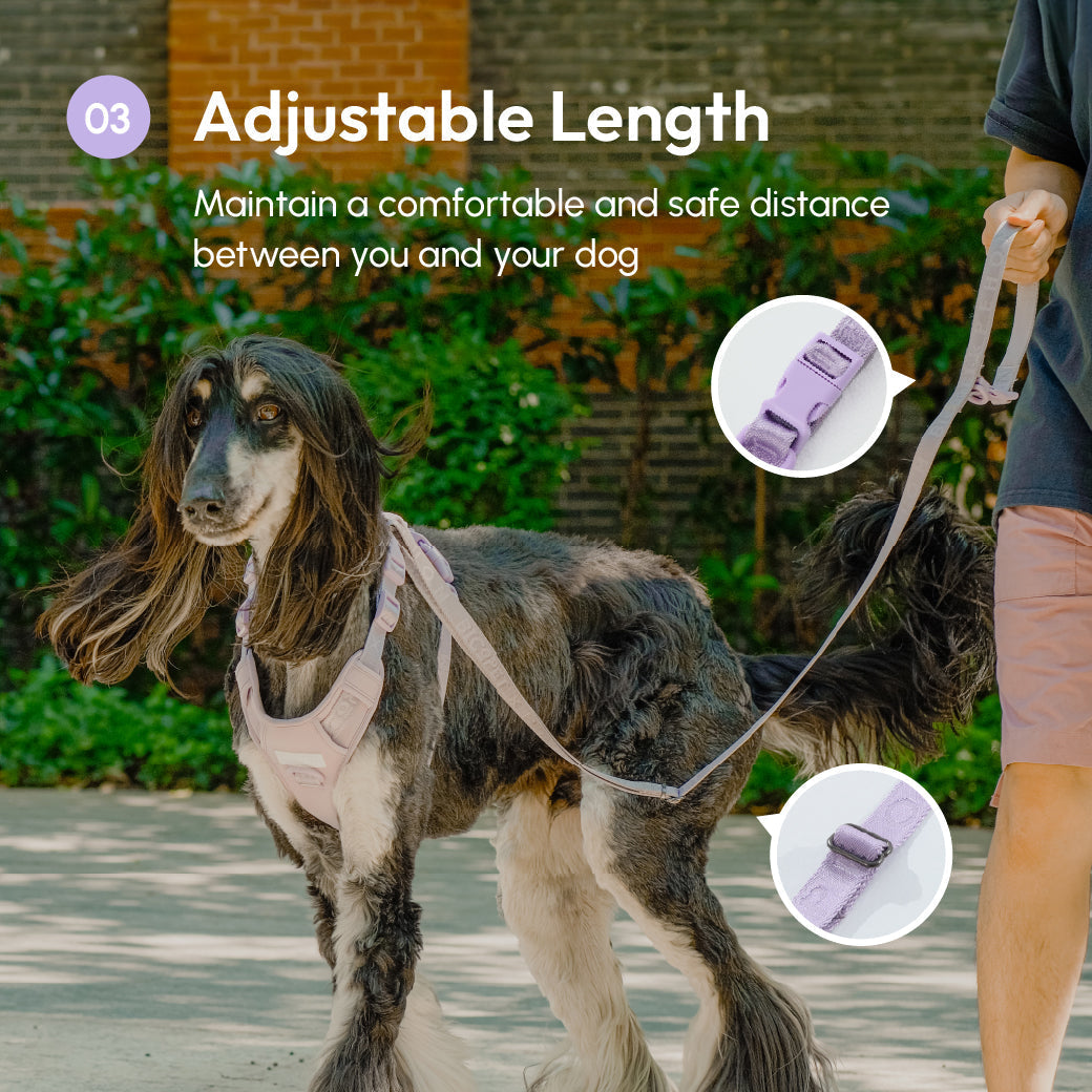 PADDED  ACTIVE  PET LEASH  - MINT PURPLE-thumbmail-9