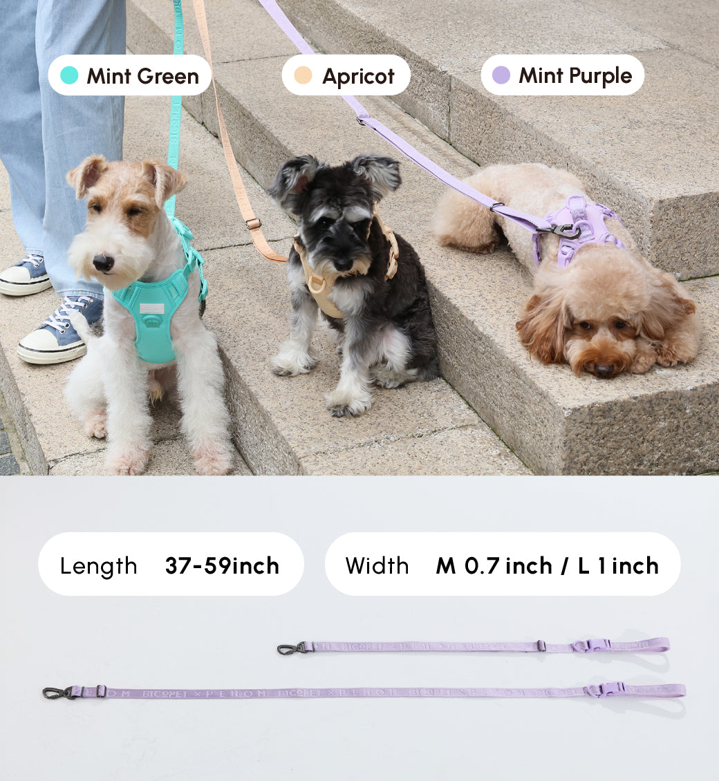 PADDED  ACTIVE  PET LEASH  - APRICOT-thumbmail-9