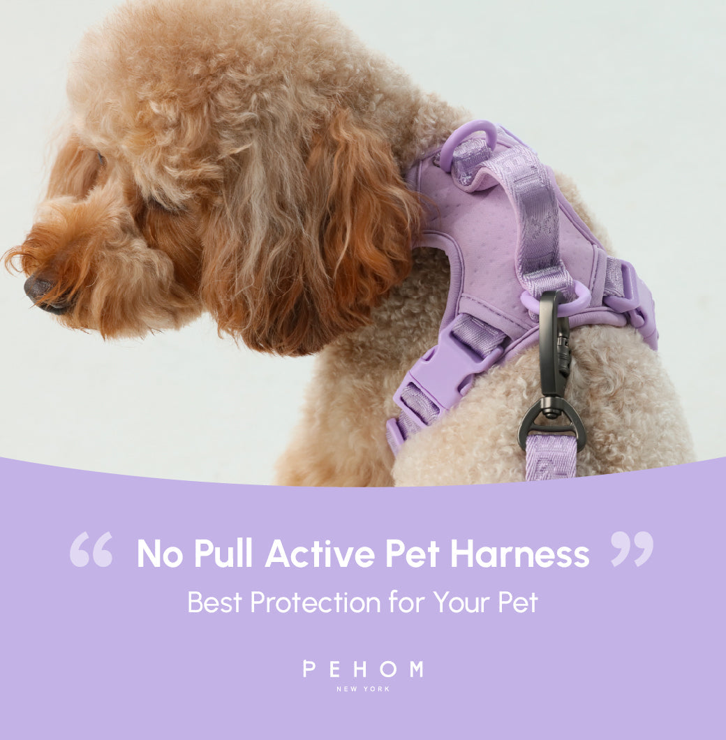 NO PULL ACTIVE  PET HARNESS - MINT PURPLE-thumbmail-9