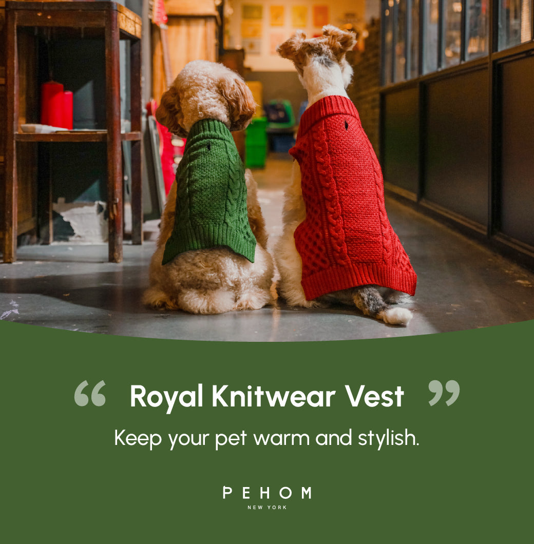 Pet Sweater Vest - Green-thumbmail-8