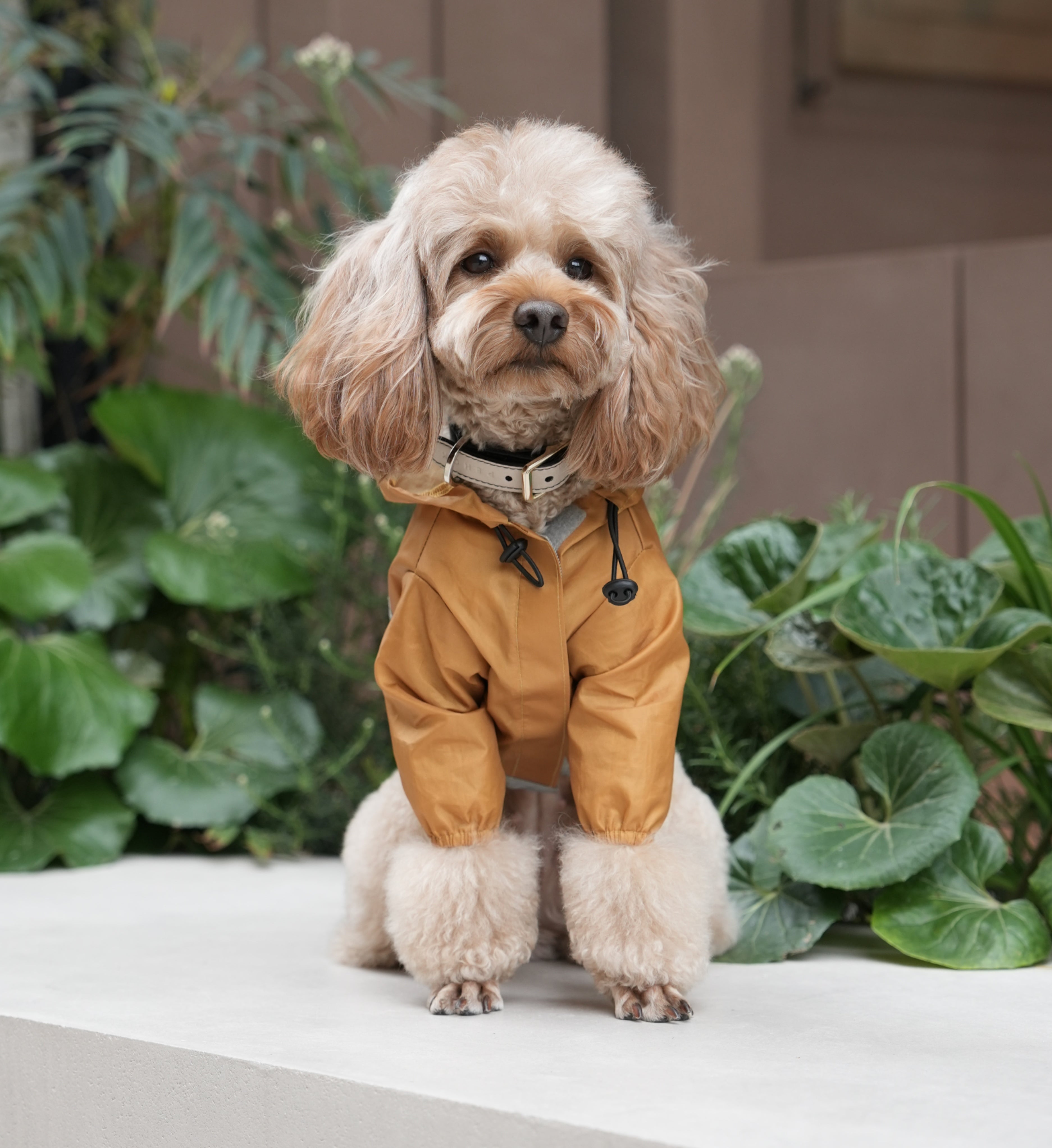 Ultralight Full Covered Hooded Waterproof Dog Jacket - Yellow-thumbmail-8
