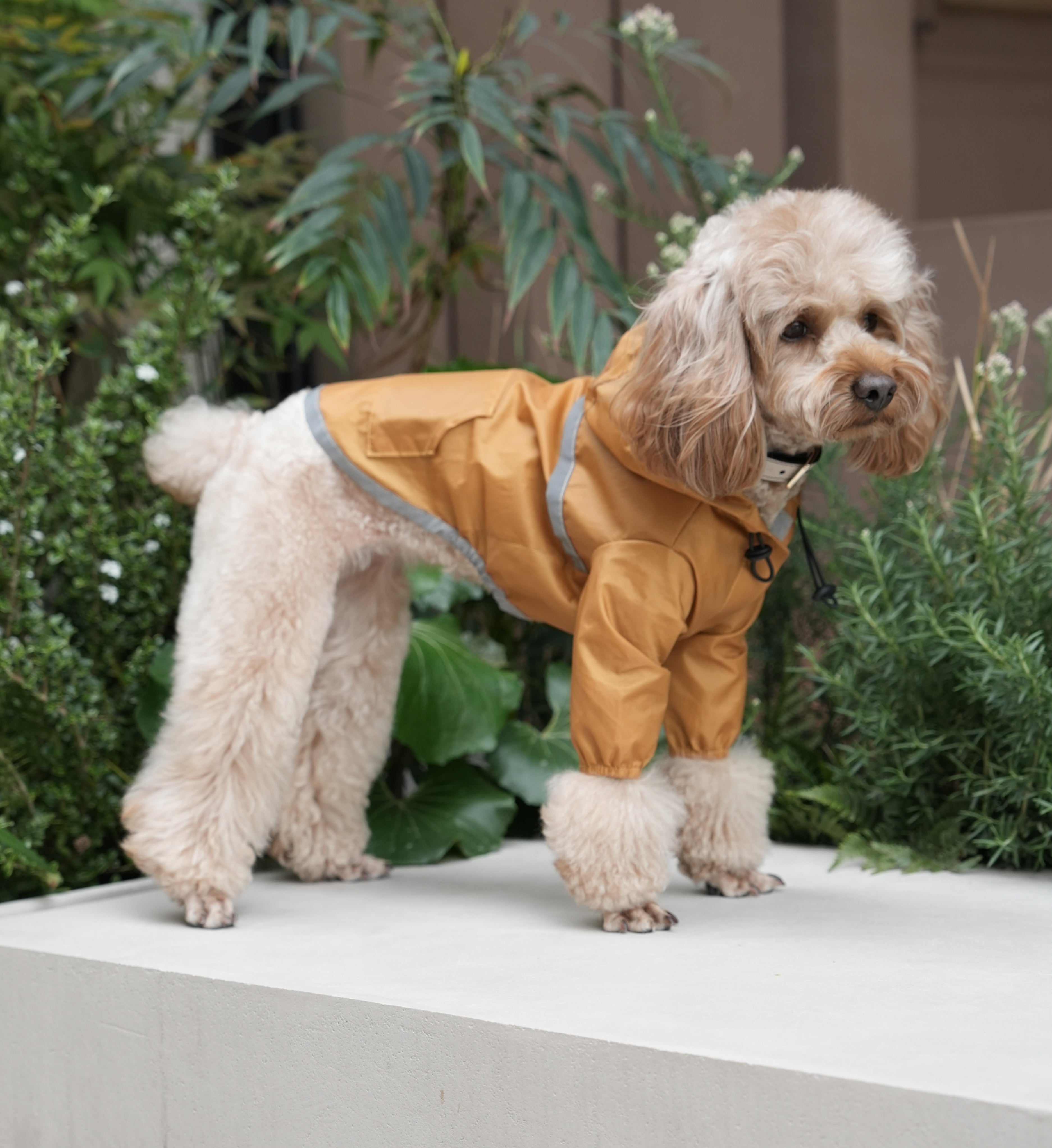 Ultralight Full Covered Hooded Waterproof Dog Jacket - Yellow-thumbmail-5