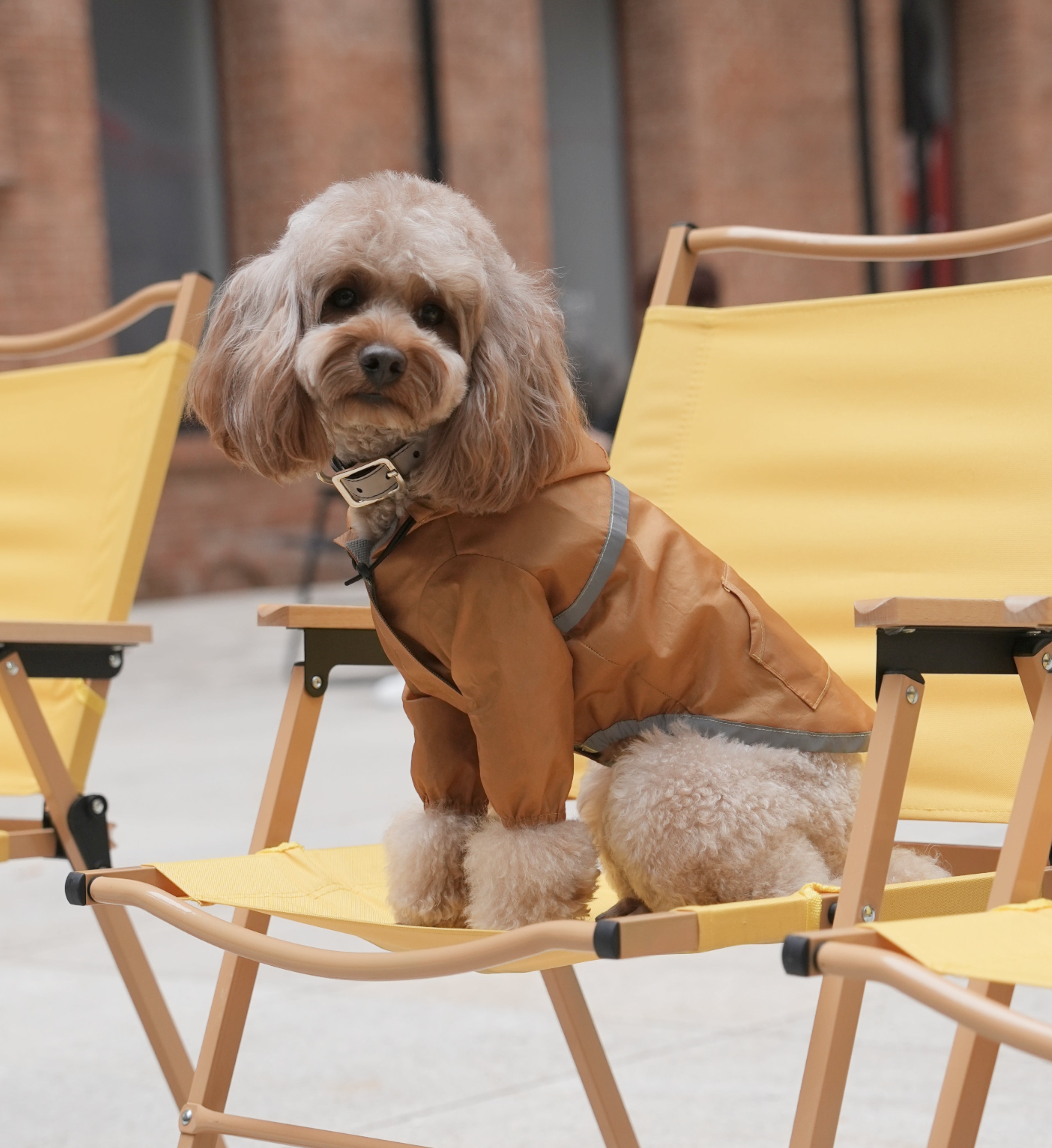 Ultralight Full Covered Hooded Waterproof Dog Jacket - Yellow-thumbmail-4