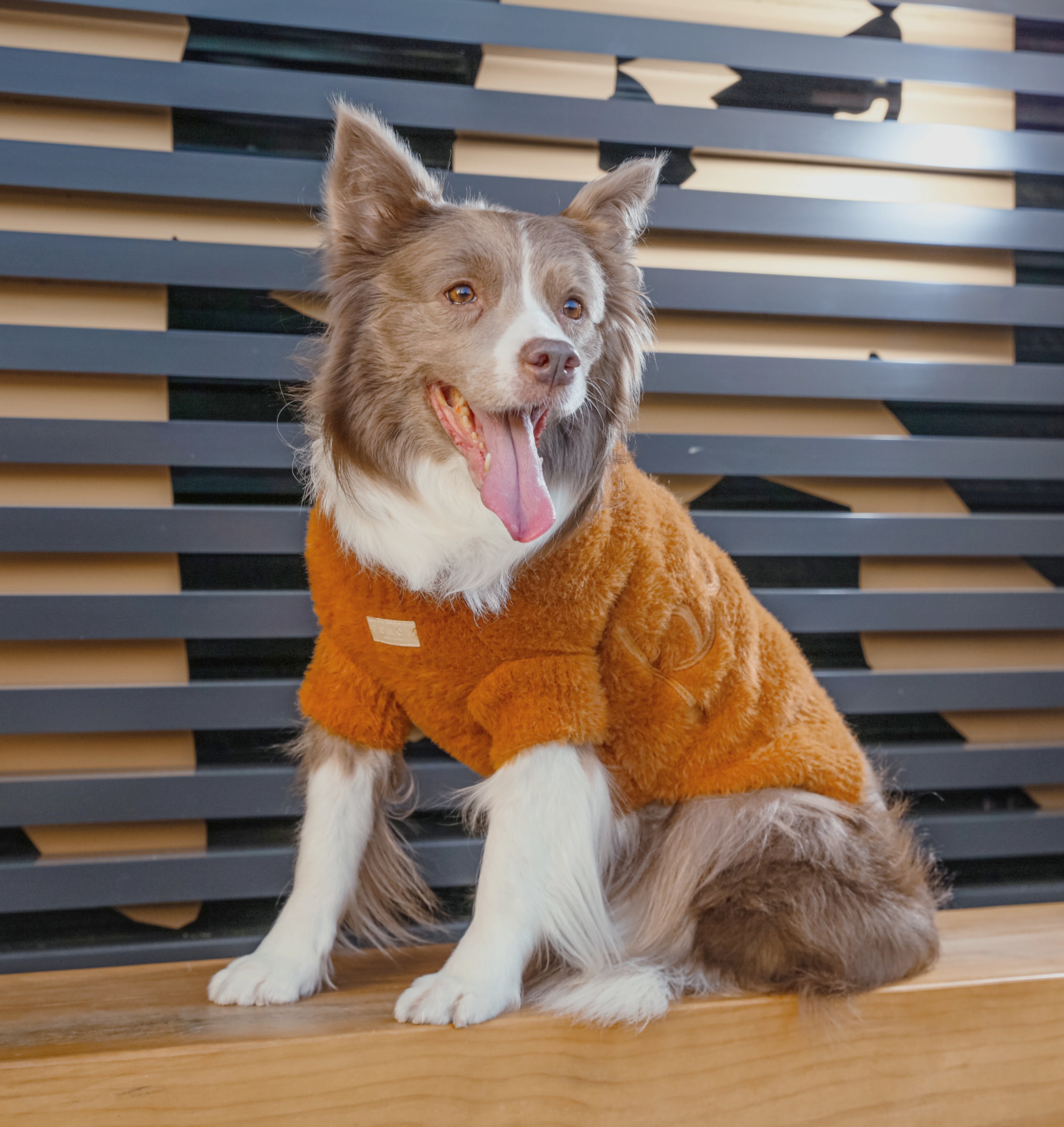Eskimo Fuzzy Sweater - Orange-thumbmail-3