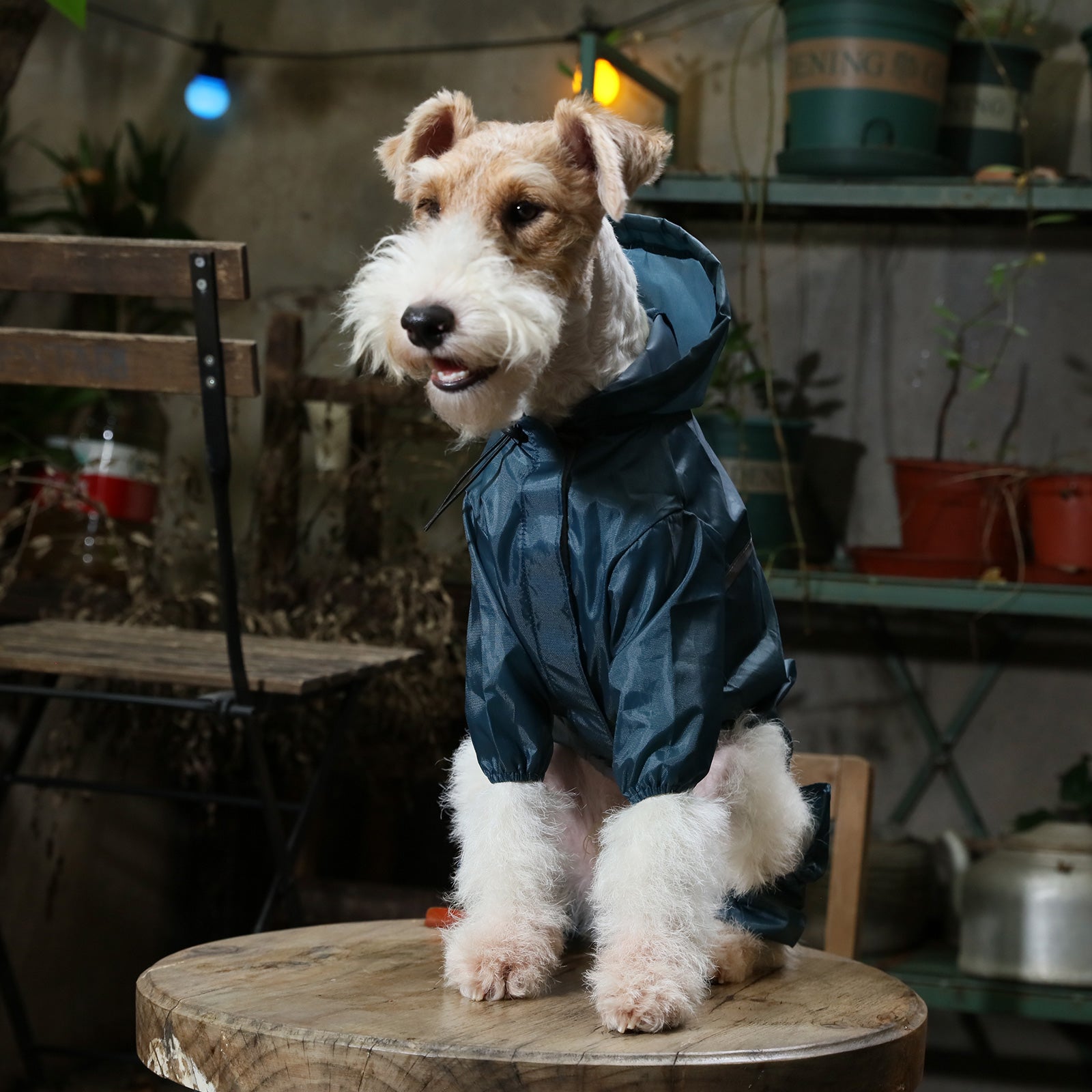 Ultralight Full Covered Hooded Waterproof Dog Jacket - Blue-thumbmail-6