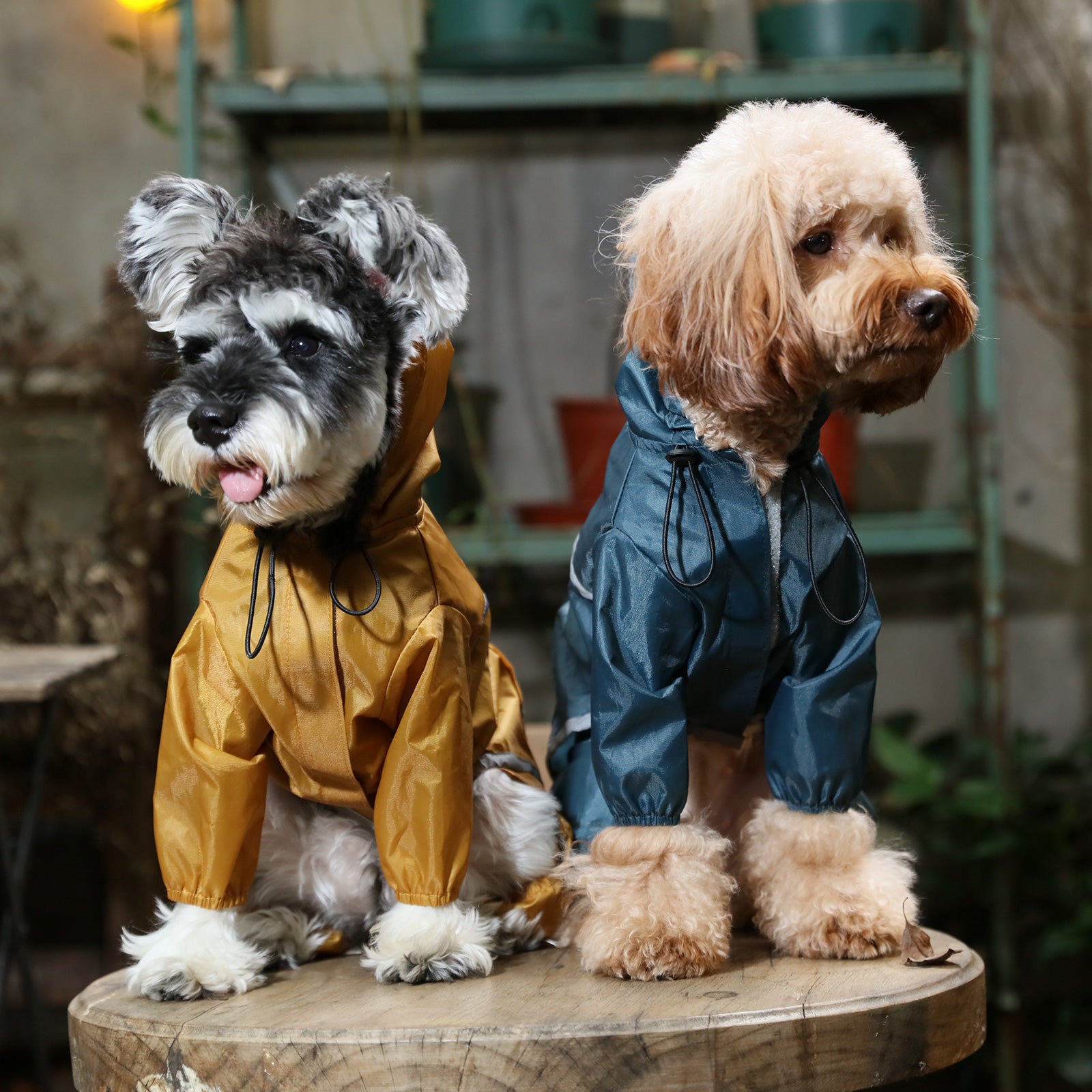 Ultralight Full Covered Hooded Waterproof Dog Jacket - Blue-thumbmail-1