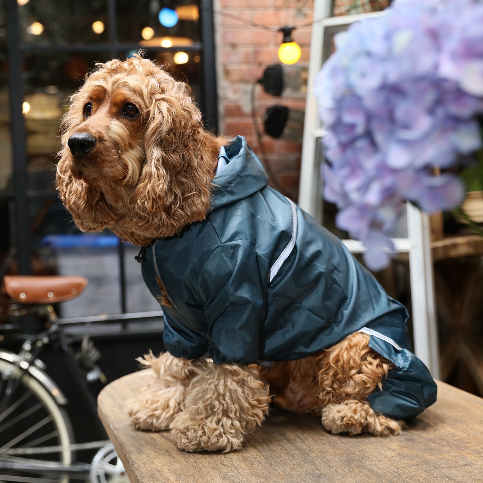 Ultralight Full Covered Hooded Waterproof Dog Jacket - Blue-thumbmail-7