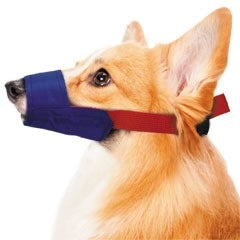 Color-Coded Strap Quick Muzzle for Dogs XXS-5XL-thumbmail-4