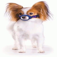 Color-Coded Strap Quick Muzzle for Dogs XXS-5XL-thumbmail-3