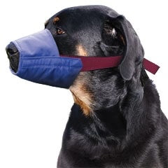 Color-Coded Strap Quick Muzzle for Dogs XXS-5XL-thumbmail-1