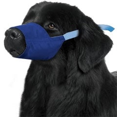 Color-Coded Strap Quick Muzzle for Dogs XXS-5XL-thumbmail-8