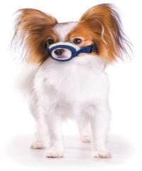 Cozy Quick Muzzle for Dogs XXS-5XL-thumbmail-6