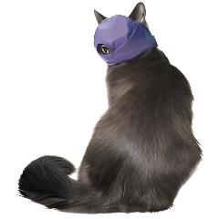 10 Pack Four Flags Over Aspen Quick Muzzle for Cats Small-Large-thumbmail-4