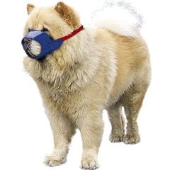 Short Snout Color-Coded Quick Muzzle Small-Large-thumbmail-6