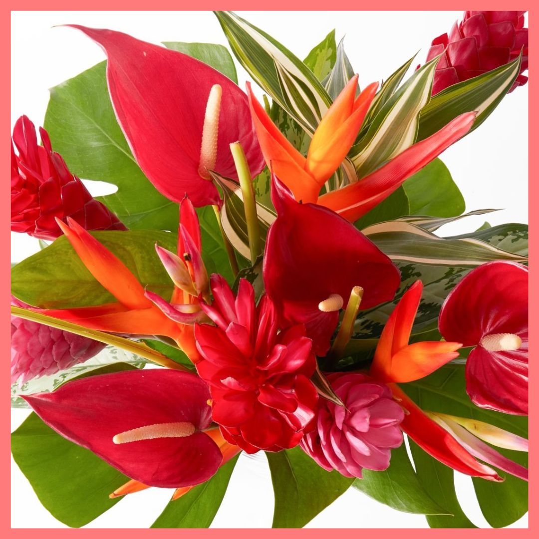 Red Jungle Tropical Bouquet-thumbmail-2