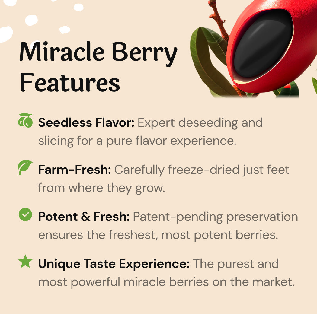 NEW! Plastic-Free Travel Jar | 3 Grams / Approximately 25 – 30 Servings | 15-20 Mins | Best Way to TAKE Your Berries on the GO-thumbmail-10