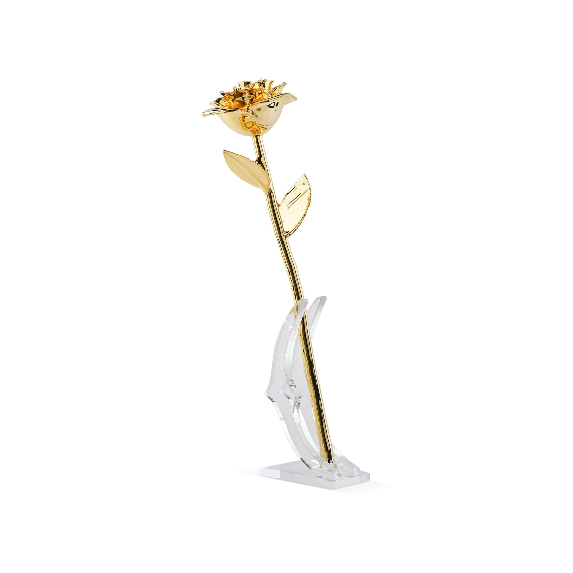 Timeless Rose (Gold)-thumbmail-3