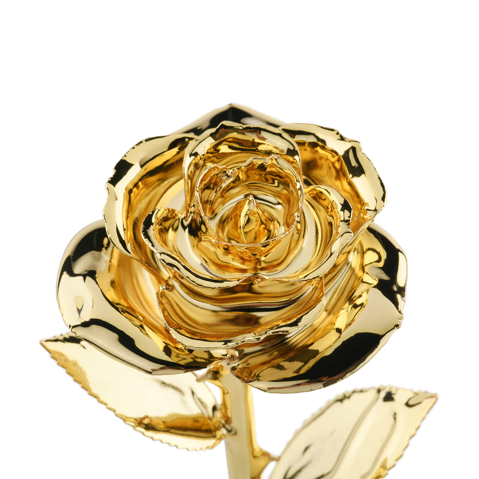 Timeless Rose (Gold)-thumbmail-1
