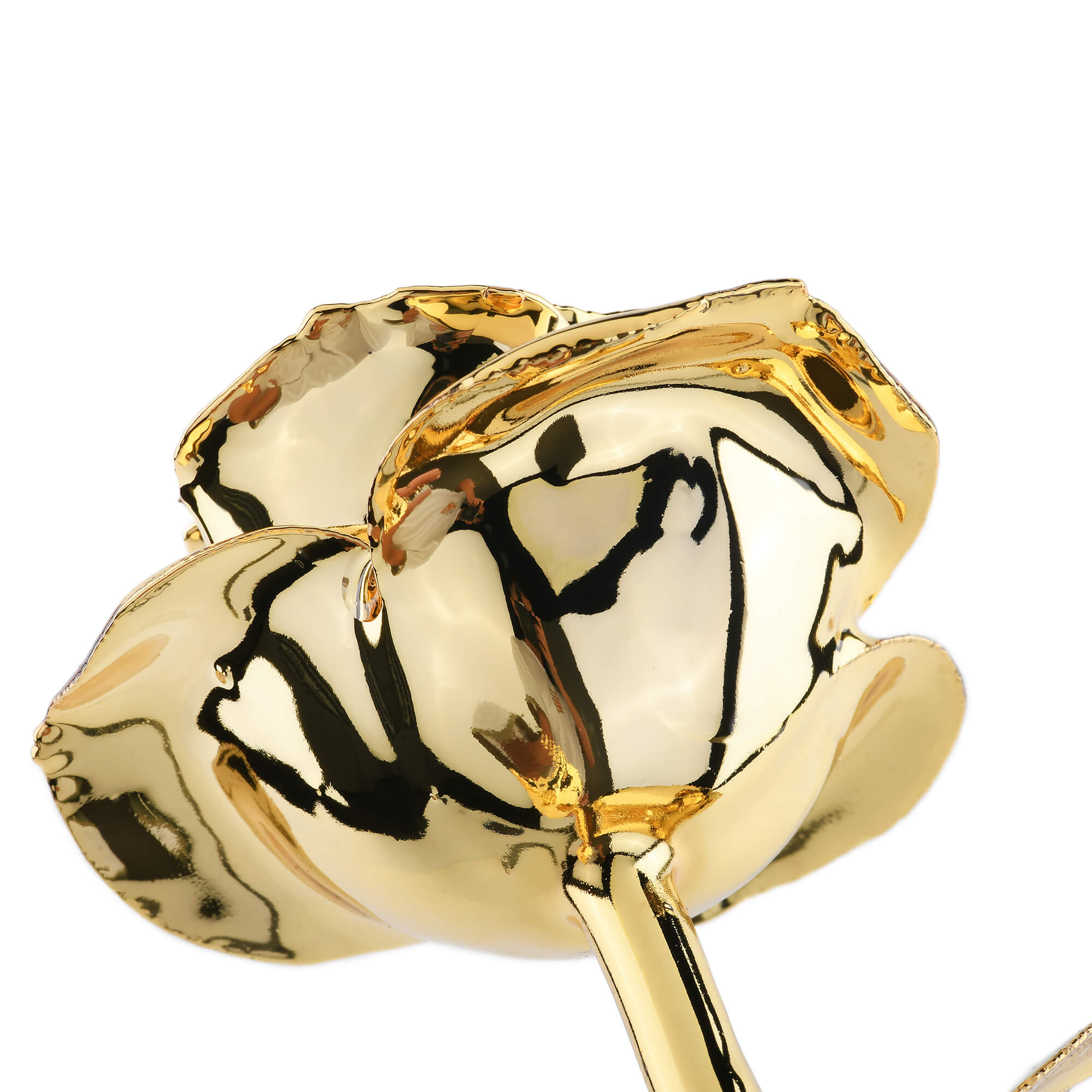 Timeless Rose (Gold)-thumbmail-5