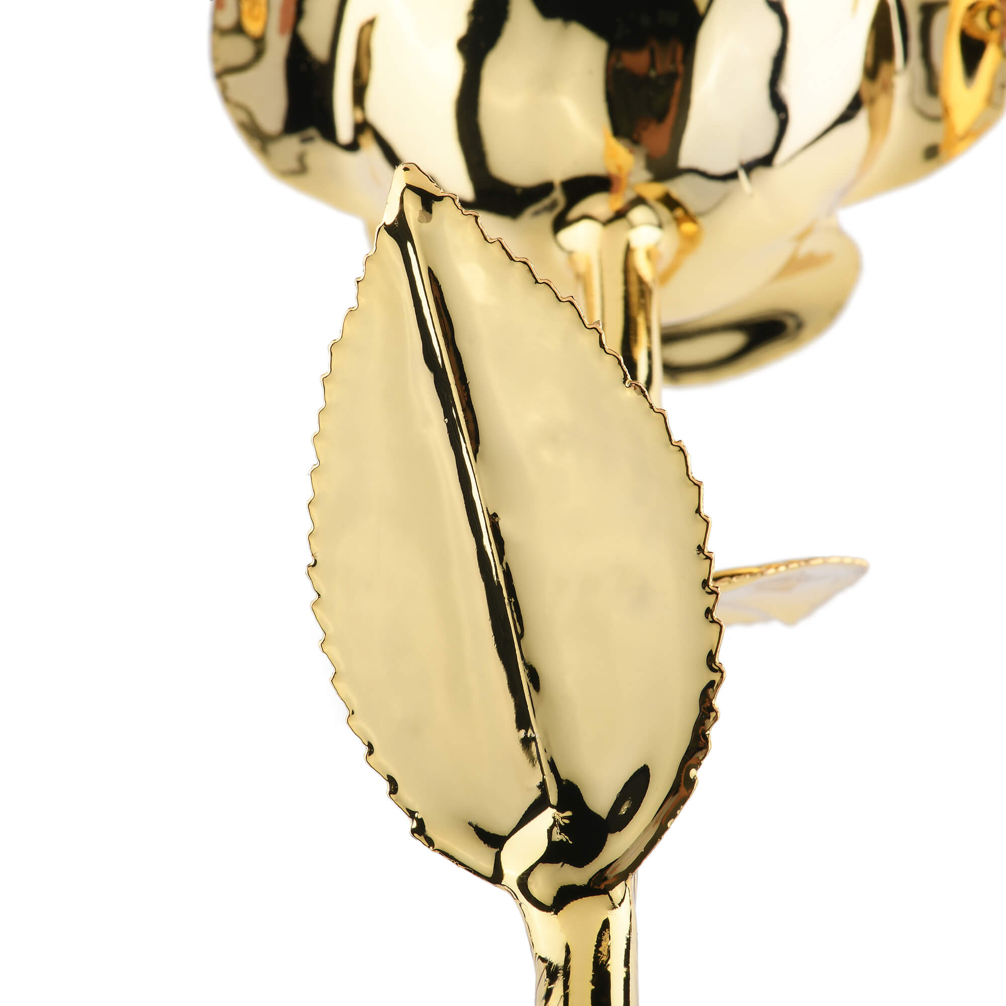 Timeless Rose (Gold)-thumbmail-2